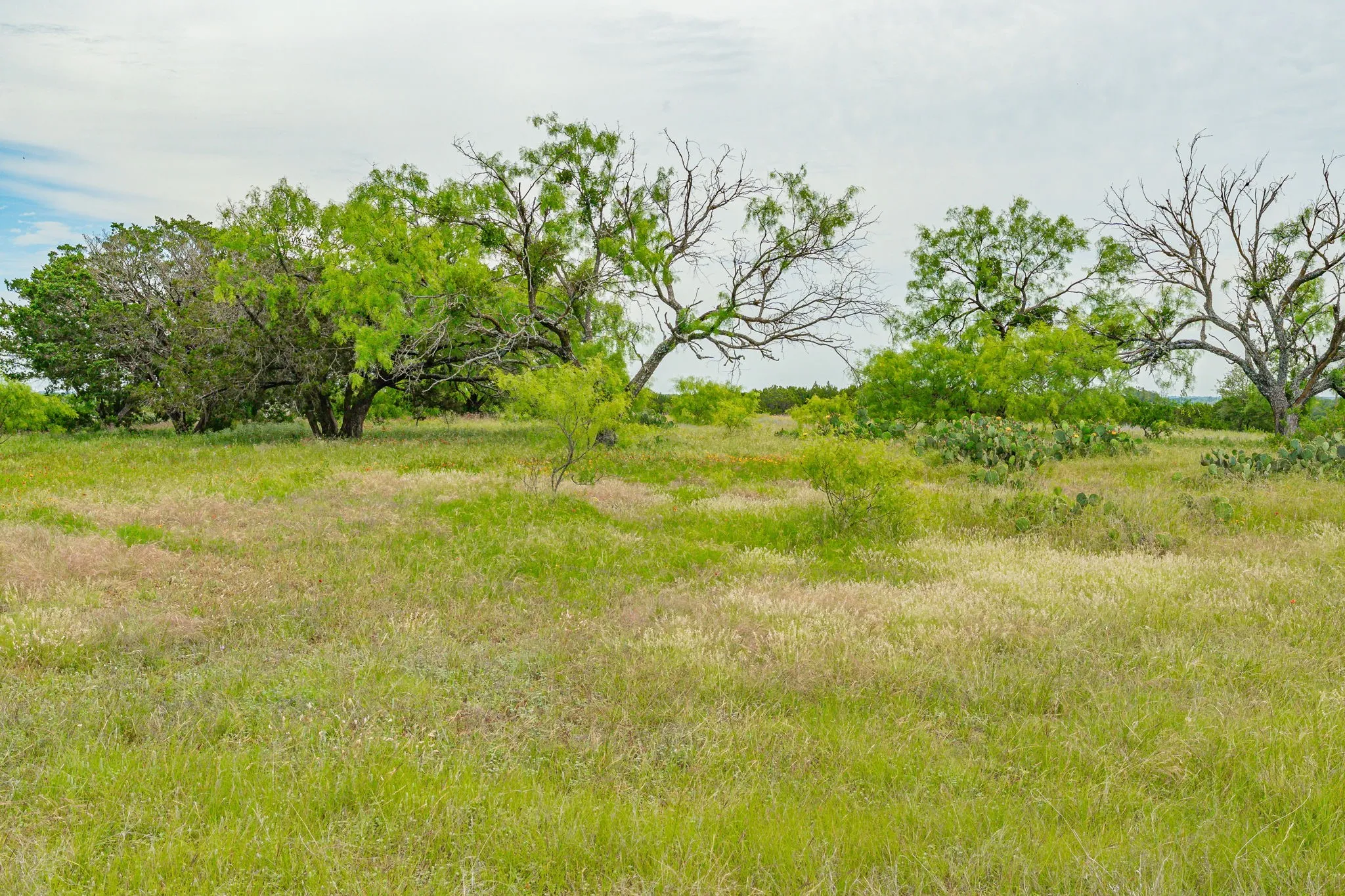 Unimproved Land For Sale in Erath County , 31080 W FM 8, Dublin, Texas 76446, 0, 0, Garage spaces, 0 Sqft, built in 0, mls#21268957, Real Estate Agent in Dublin, Homes For Sale in Erath county, Homes For Sale in Dublin, Realtor in Dublin Texas, Real Estate Brokerage Independent Realty Texas, Luminita Cordes Realtor