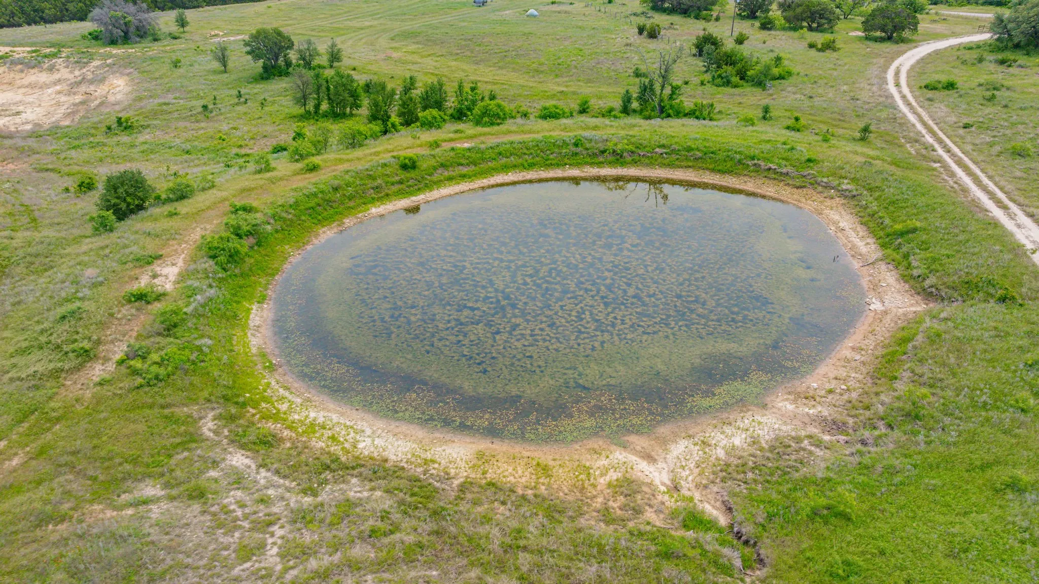 Unimproved Land For Sale in Erath County , 31080 W FM 8, Dublin, Texas 76446, 0, 0, Garage spaces, 0 Sqft, built in 0, mls#21268957, Real Estate Agent in Dublin, Homes For Sale in Erath county, Homes For Sale in Dublin, Realtor in Dublin Texas, Real Estate Brokerage Independent Realty Texas, Luminita Cordes Realtor
