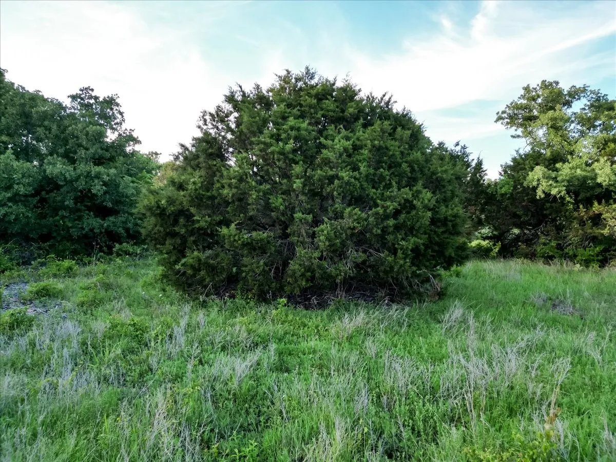 Unimproved Land For Sale in Palo Pinto County , TBD Rambling Road, Graford, Texas 76486, 0, 0, Garage spaces, 0 Sqft, built in 0, mls#21268366, Real Estate Agent in Graford, Homes For Sale in Palo Pinto county, Homes For Sale in Graford, Realtor in Graford Texas, Real Estate Brokerage Independent Realty Texas, Luminita Cordes Realtor