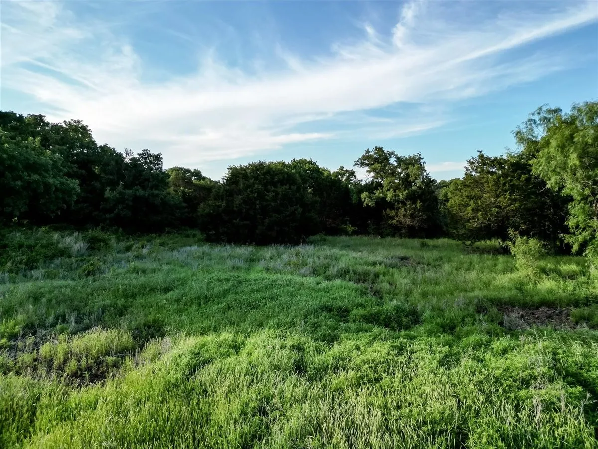 Unimproved Land For Sale in Palo Pinto County , TBD Rambling Road, Graford, Texas 76486, 0, 0, Garage spaces, 0 Sqft, built in 0, mls#21268366, Real Estate Agent in Graford, Homes For Sale in Palo Pinto county, Homes For Sale in Graford, Realtor in Graford Texas, Real Estate Brokerage Independent Realty Texas, Luminita Cordes Realtor