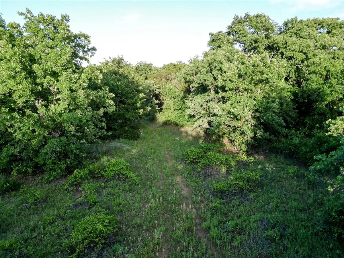 Unimproved Land For Sale in Palo Pinto County , TBD Rambling Road, Graford, Texas 76486, 0, 0, Garage spaces, 0 Sqft, built in 0, mls#21268366, Real Estate Agent in Graford, Homes For Sale in Palo Pinto county, Homes For Sale in Graford, Realtor in Graford Texas, Real Estate Brokerage Independent Realty Texas, Luminita Cordes Realtor