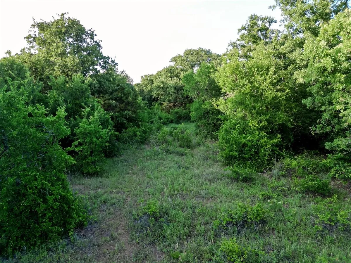 Unimproved Land For Sale in Palo Pinto County , TBD Rambling Road, Graford, Texas 76486, 0, 0, Garage spaces, 0 Sqft, built in 0, mls#21268366, Real Estate Agent in Graford, Homes For Sale in Palo Pinto county, Homes For Sale in Graford, Realtor in Graford Texas, Real Estate Brokerage Independent Realty Texas, Luminita Cordes Realtor