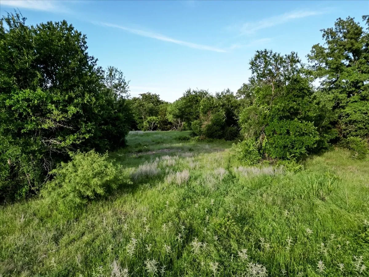 Unimproved Land For Sale in Palo Pinto County , TBD Rambling Road, Graford, Texas 76486, 0, 0, Garage spaces, 0 Sqft, built in 0, mls#21268366, Real Estate Agent in Graford, Homes For Sale in Palo Pinto county, Homes For Sale in Graford, Realtor in Graford Texas, Real Estate Brokerage Independent Realty Texas, Luminita Cordes Realtor