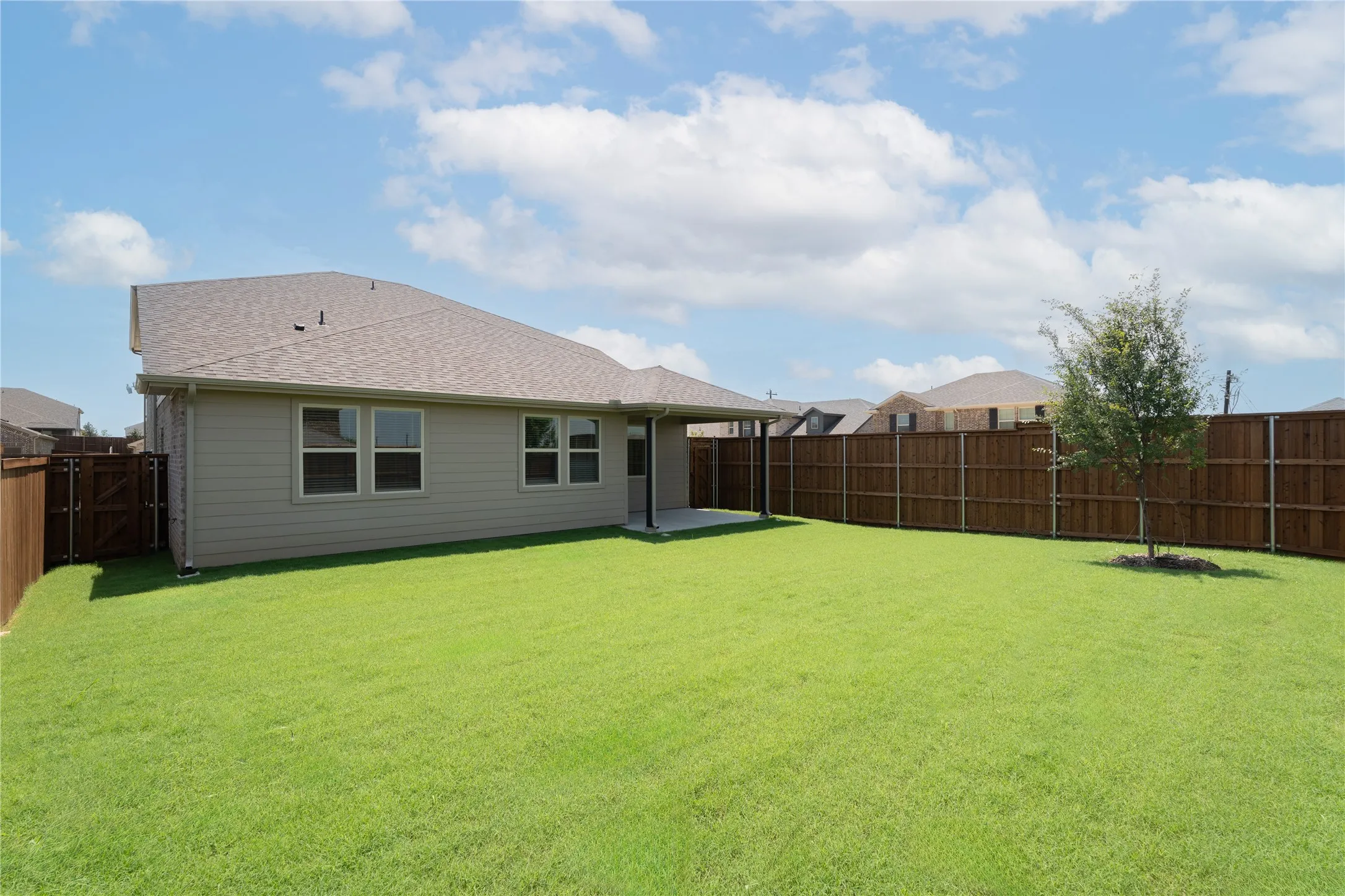 Backyard