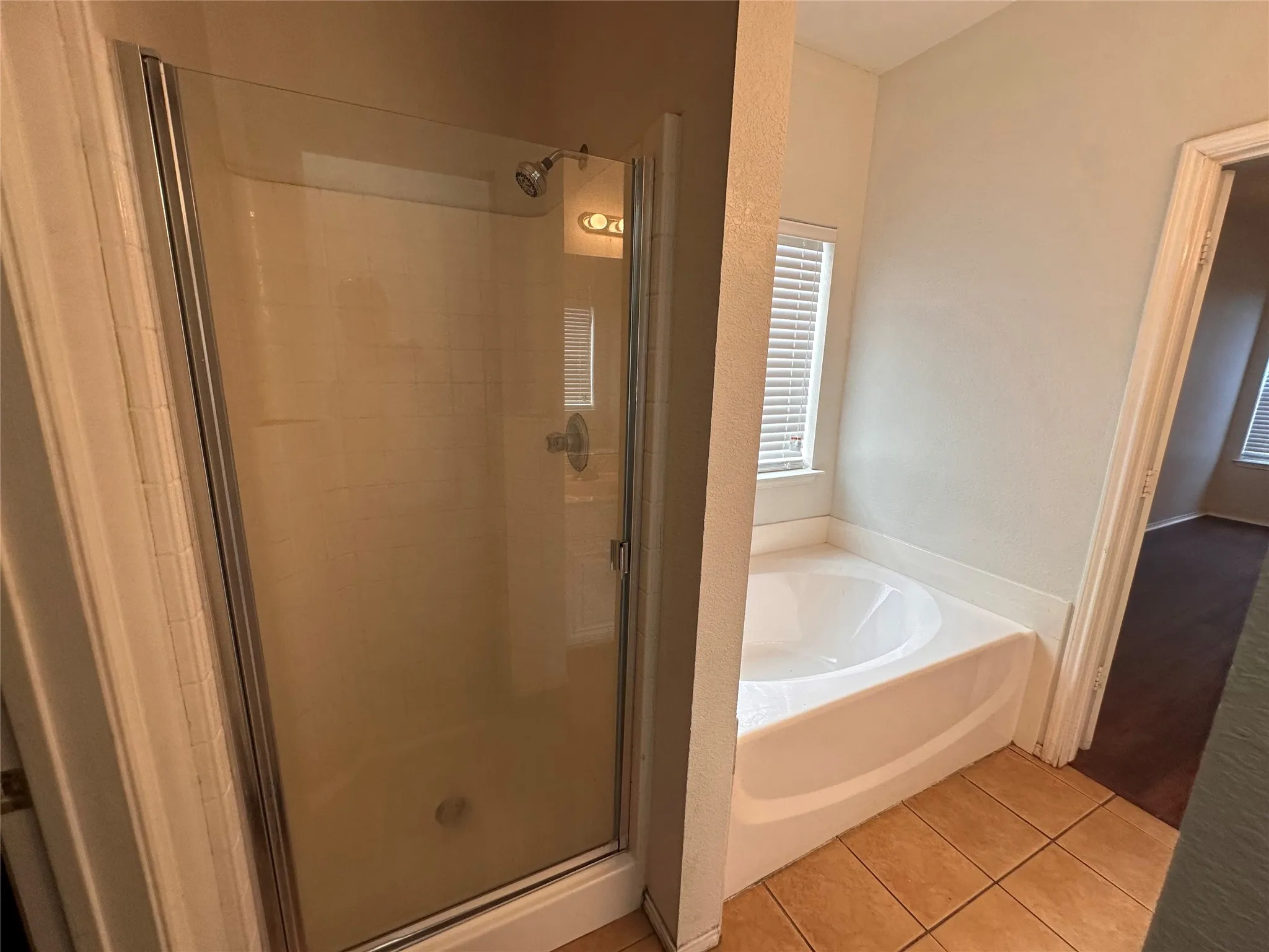 Glass-enclosed shower with a showerhead and separate built-in soaking tub