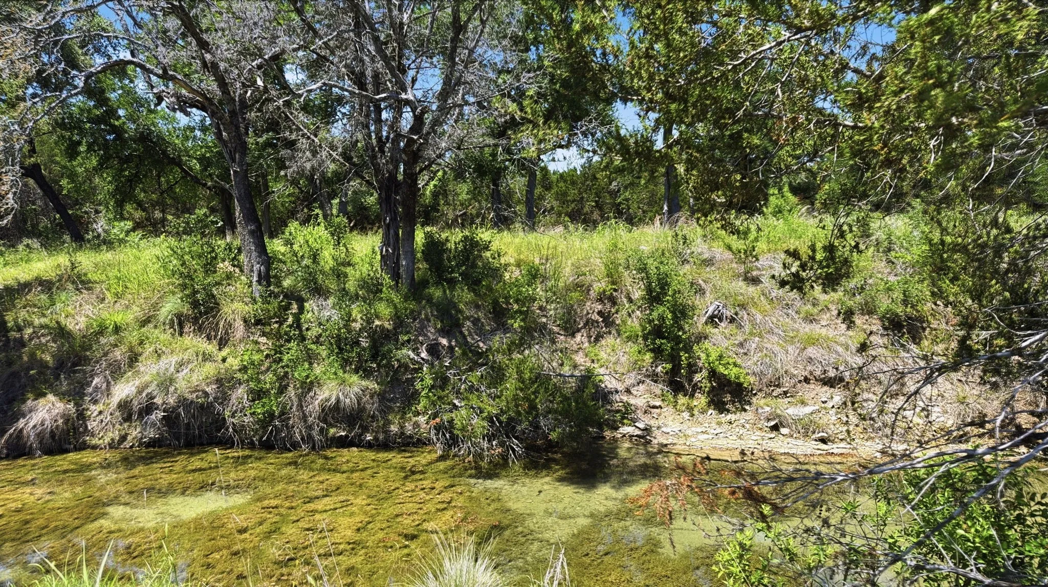 Unimproved Land For Sale in Hamilton County , Lot 67 Ph 4 Pr 4212, Evant, Texas 76566, 0, 0, Garage spaces, 0 Sqft, built in 0, Price $115,000, mls#21270906, Real Estate Agent in Evant, Homes For Sale in Hamilton county, Homes For Sale in Evant, Realtor in Evant Texas, Real Estate Brokerage Independent Realty Texas, Luminita Cordes Realtor