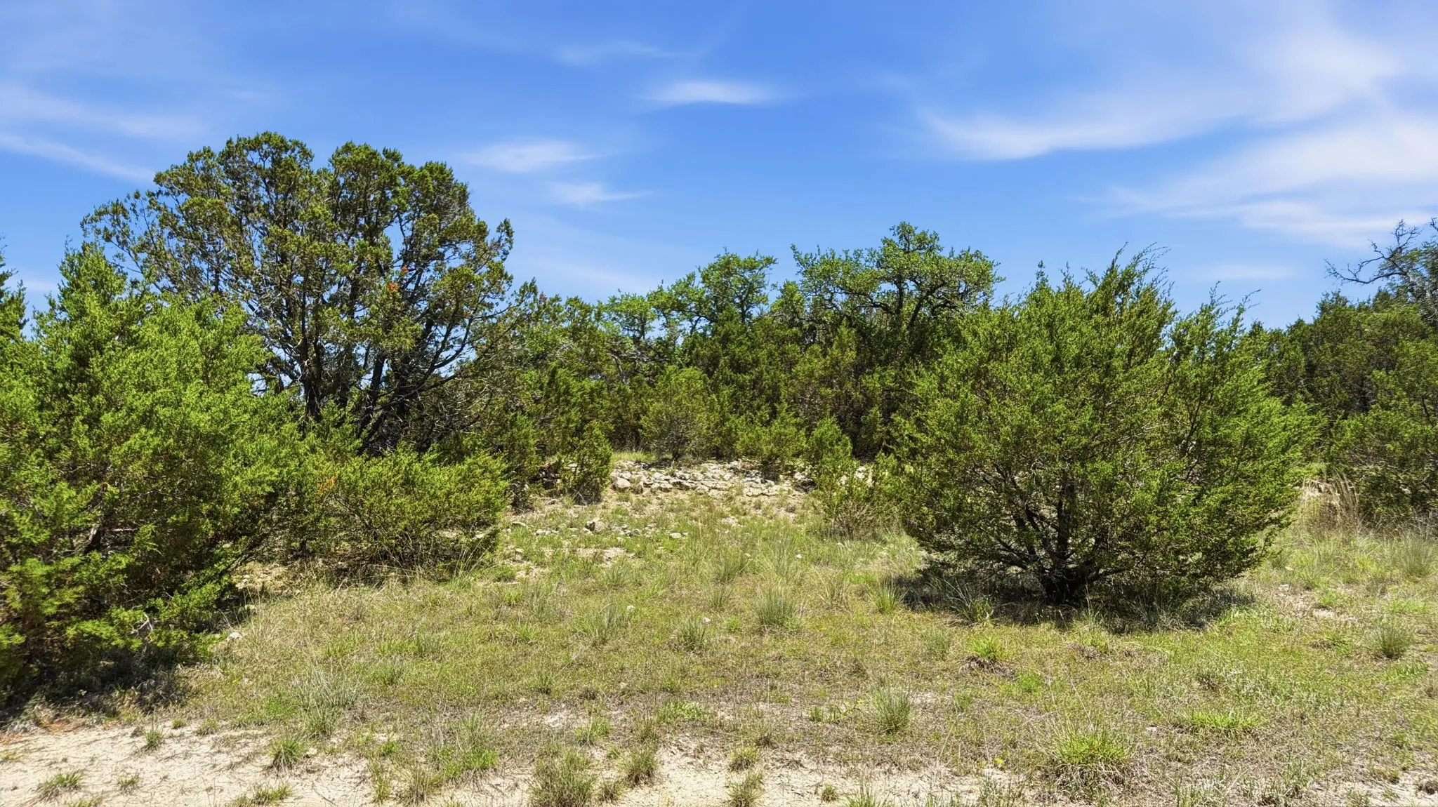 Unimproved Land For Sale in Hamilton County , Lot 67 Ph 4 Pr 4212, Evant, Texas 76566, 0, 0, Garage spaces, 0 Sqft, built in 0, Price $115,000, mls#21270906, Real Estate Agent in Evant, Homes For Sale in Hamilton county, Homes For Sale in Evant, Realtor in Evant Texas, Real Estate Brokerage Independent Realty Texas, Luminita Cordes Realtor