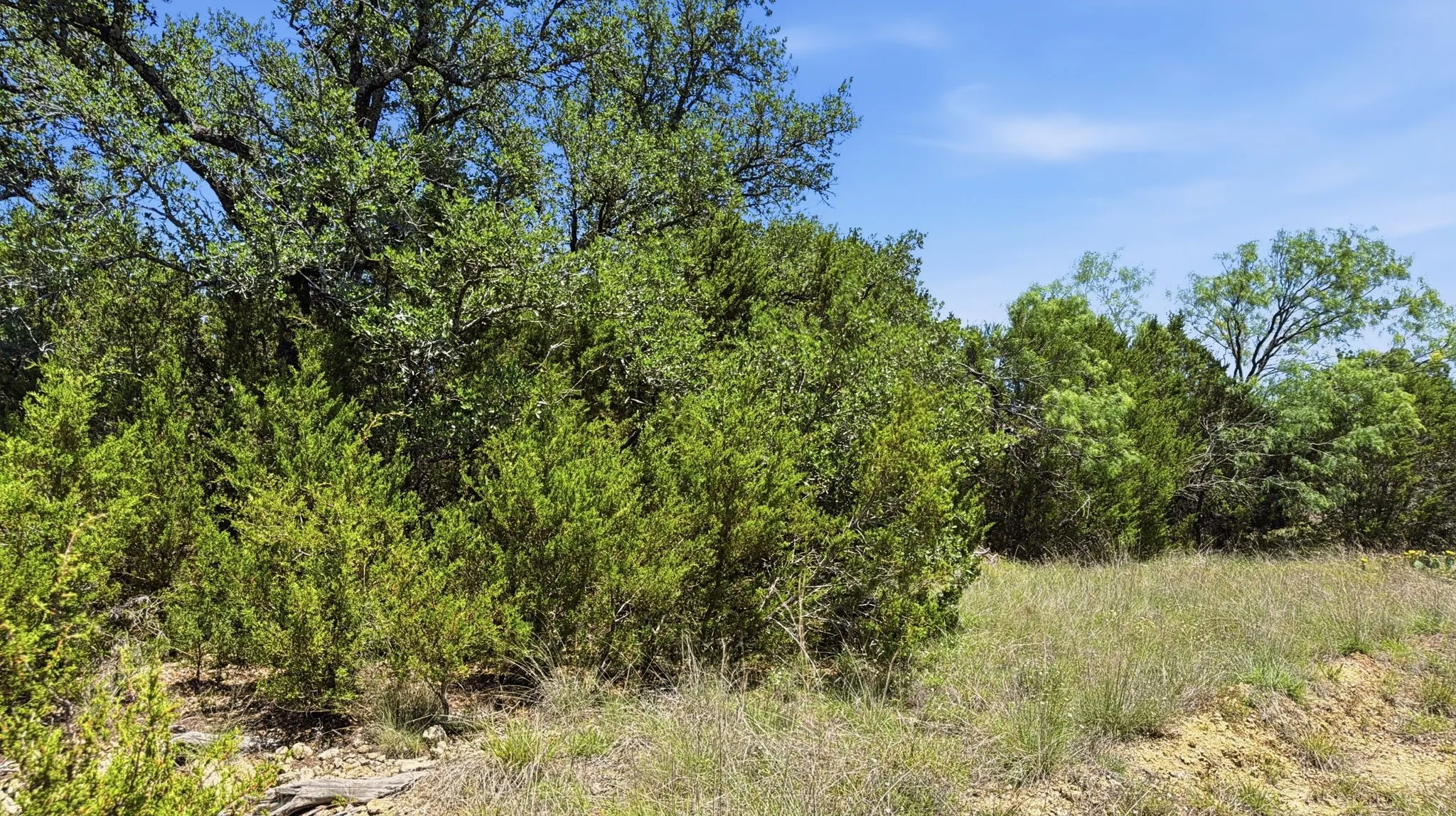 Unimproved Land For Sale in Hamilton County , Lot 67 Ph 4 Pr 4212, Evant, Texas 76566, 0, 0, Garage spaces, 0 Sqft, built in 0, Price $115,000, mls#21270906, Real Estate Agent in Evant, Homes For Sale in Hamilton county, Homes For Sale in Evant, Realtor in Evant Texas, Real Estate Brokerage Independent Realty Texas, Luminita Cordes Realtor
