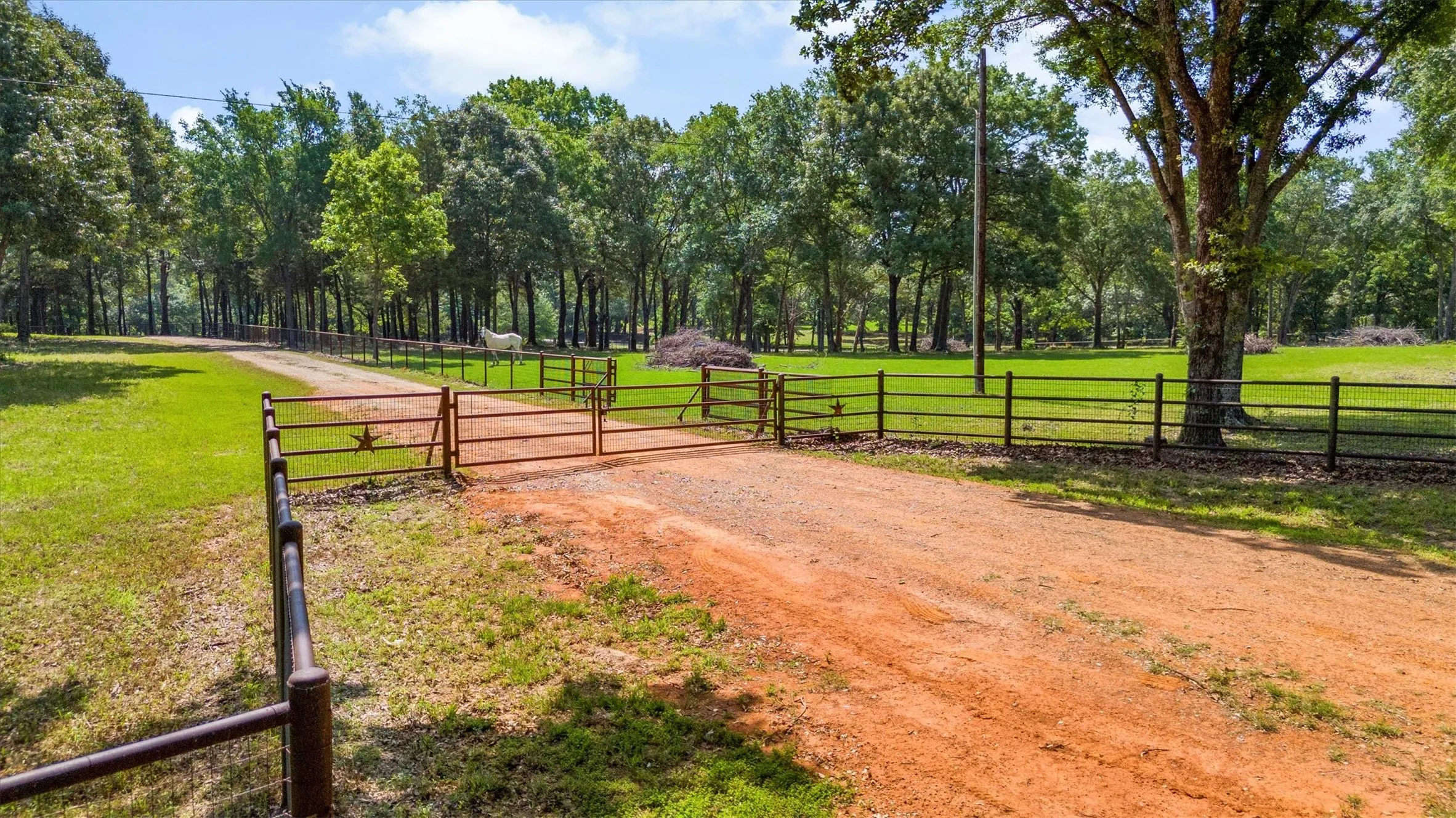 Ranch For Sale in Van Zandt County , 000 VZ County Road 4505, Ben Wheeler, Texas 75754, 0, 0, Garage spaces, 0 Sqft, built in 0, mls#21270922, Real Estate Agent in Ben Wheeler, Homes For Sale in Van Zandt county, Homes For Sale in Ben Wheeler, Realtor in Ben Wheeler Texas, Real Estate Brokerage Independent Realty Texas, Luminita Cordes Realtor