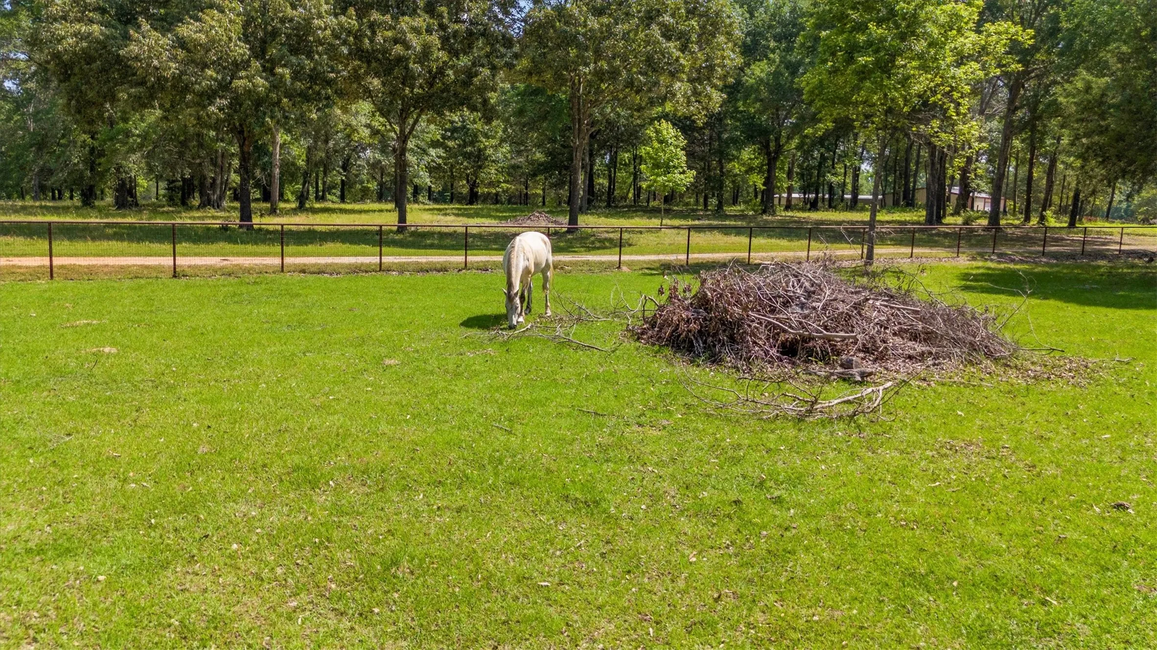 Ranch For Sale in Van Zandt County , 000 VZ County Road 4505, Ben Wheeler, Texas 75754, 0, 0, Garage spaces, 0 Sqft, built in 0, mls#21270922, Real Estate Agent in Ben Wheeler, Homes For Sale in Van Zandt county, Homes For Sale in Ben Wheeler, Realtor in Ben Wheeler Texas, Real Estate Brokerage Independent Realty Texas, Luminita Cordes Realtor