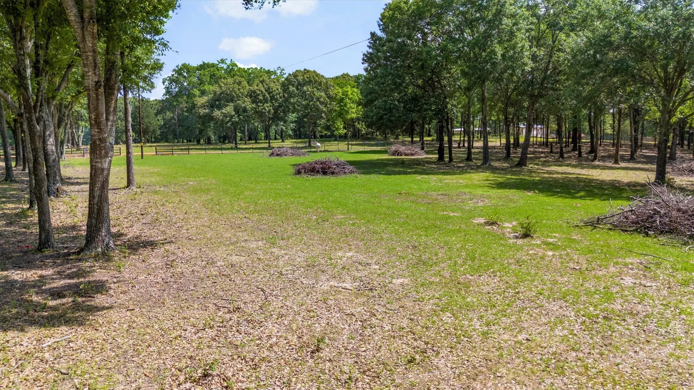 Ranch For Sale in Van Zandt County , 000 VZ County Road 4505, Ben Wheeler, Texas 75754, 0, 0, Garage spaces, 0 Sqft, built in 0, mls#21270922, Real Estate Agent in Ben Wheeler, Homes For Sale in Van Zandt county, Homes For Sale in Ben Wheeler, Realtor in Ben Wheeler Texas, Real Estate Brokerage Independent Realty Texas, Luminita Cordes Realtor