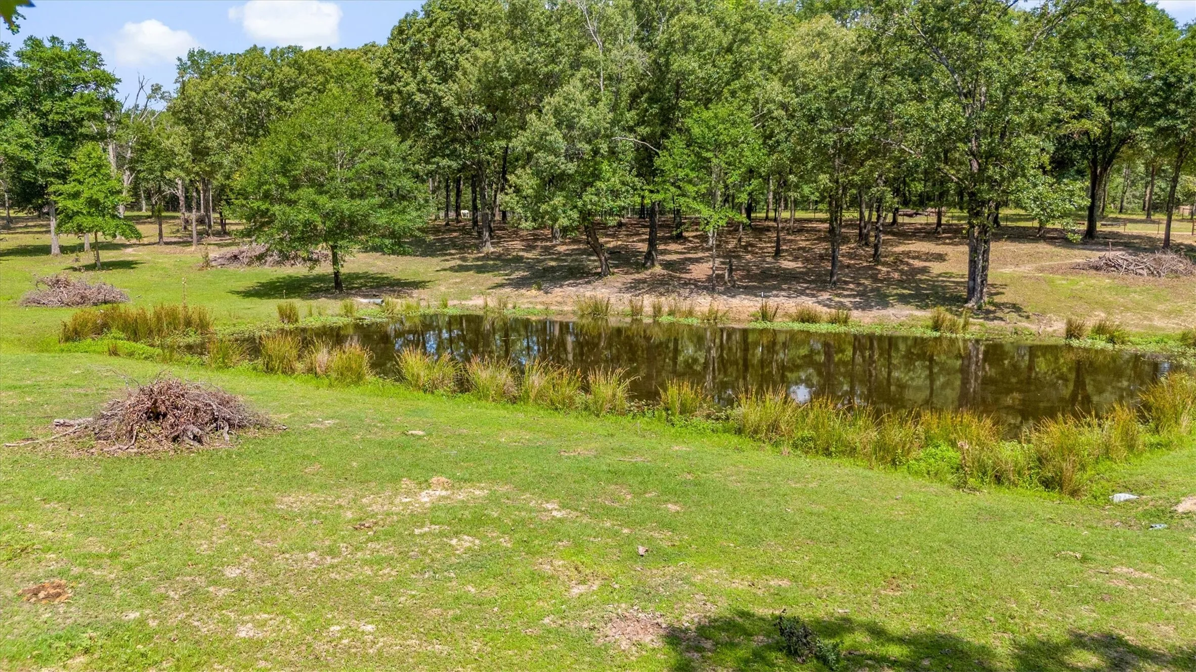 Ranch For Sale in Van Zandt County , 000 VZ County Road 4505, Ben Wheeler, Texas 75754, 0, 0, Garage spaces, 0 Sqft, built in 0, mls#21270922, Real Estate Agent in Ben Wheeler, Homes For Sale in Van Zandt county, Homes For Sale in Ben Wheeler, Realtor in Ben Wheeler Texas, Real Estate Brokerage Independent Realty Texas, Luminita Cordes Realtor