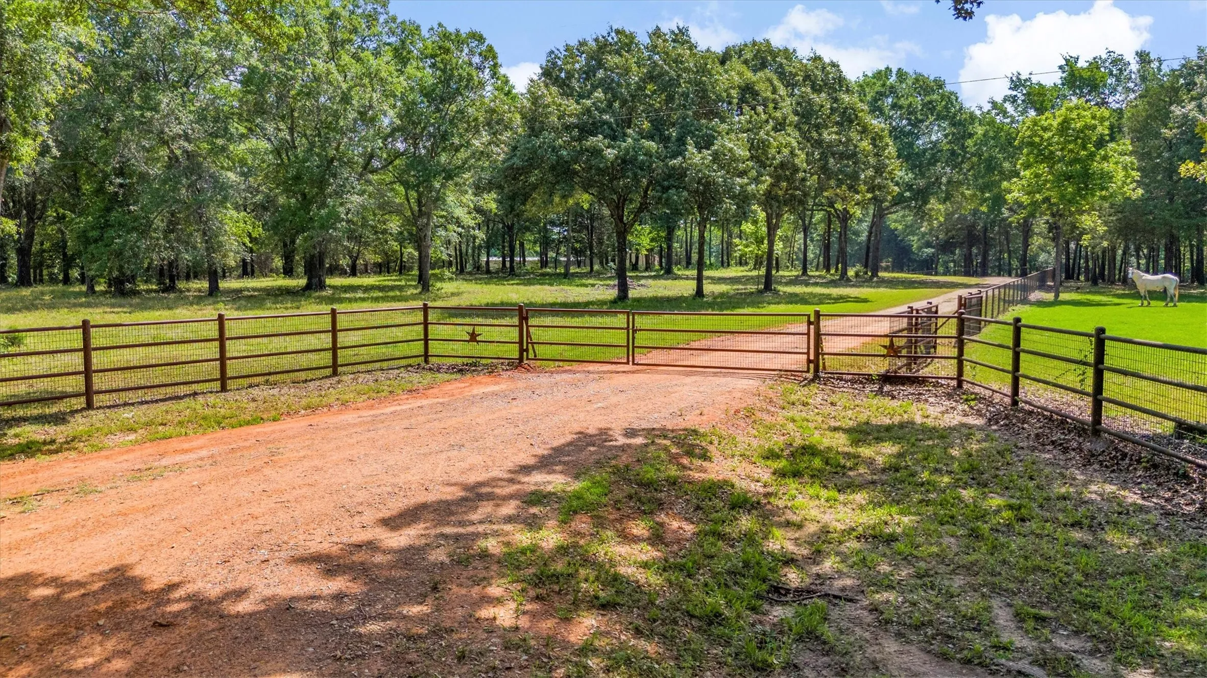 Ranch For Sale in Van Zandt County , 000 VZ County Road 4505, Ben Wheeler, Texas 75754, 0, 0, Garage spaces, 0 Sqft, built in 0, mls#21270922, Real Estate Agent in Ben Wheeler, Homes For Sale in Van Zandt county, Homes For Sale in Ben Wheeler, Realtor in Ben Wheeler Texas, Real Estate Brokerage Independent Realty Texas, Luminita Cordes Realtor