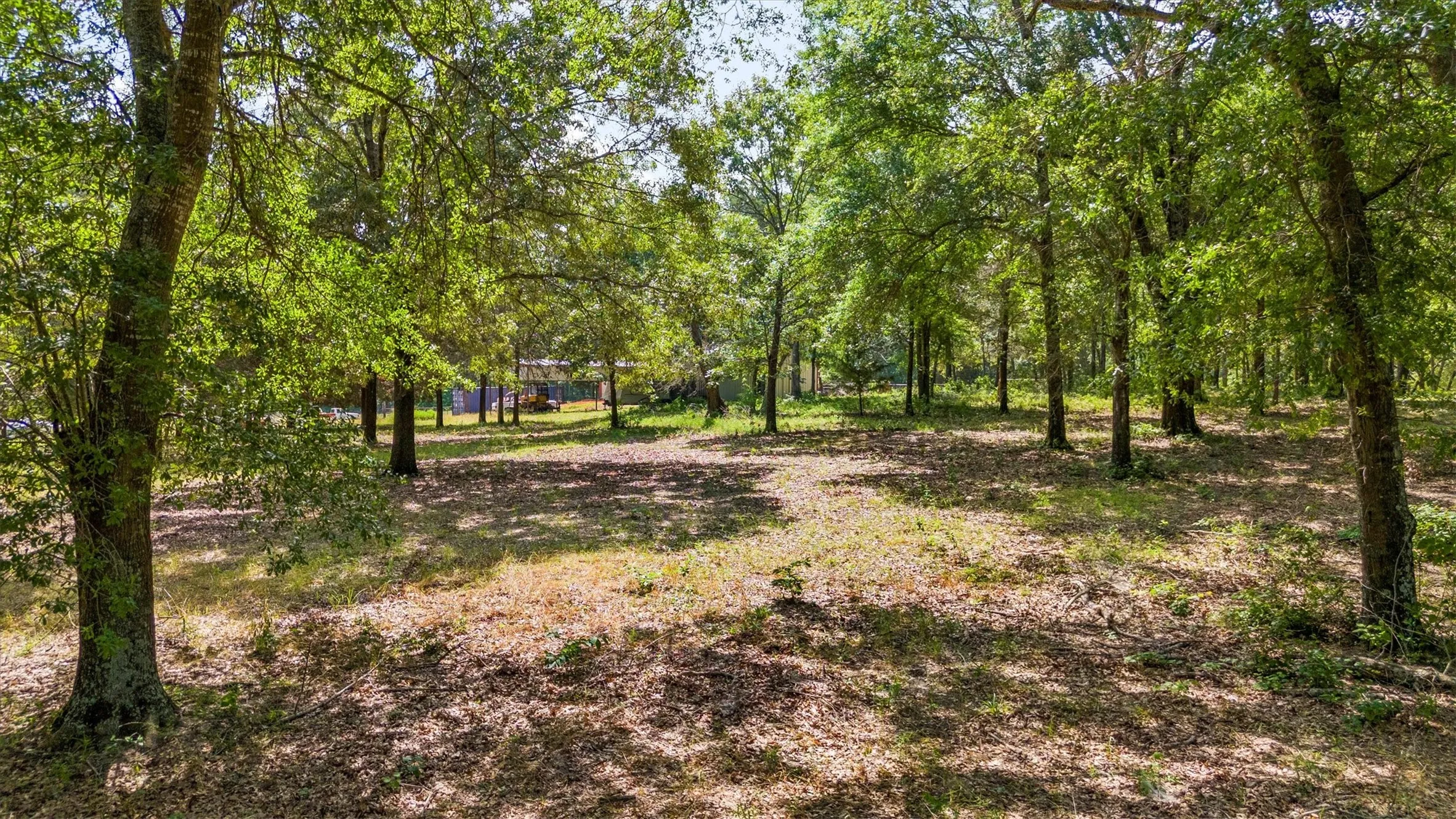 Ranch For Sale in Van Zandt County , 000 VZ County Road 4505, Ben Wheeler, Texas 75754, 0, 0, Garage spaces, 0 Sqft, built in 0, mls#21270922, Real Estate Agent in Ben Wheeler, Homes For Sale in Van Zandt county, Homes For Sale in Ben Wheeler, Realtor in Ben Wheeler Texas, Real Estate Brokerage Independent Realty Texas, Luminita Cordes Realtor