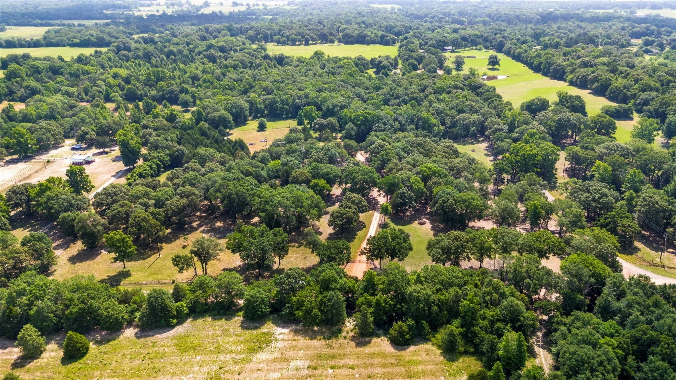 Ranch For Sale in Van Zandt County , 000 VZ County Road 4505, Ben Wheeler, Texas 75754, 0, 0, Garage spaces, 0 Sqft, built in 0, mls#21270922, Real Estate Agent in Ben Wheeler, Homes For Sale in Van Zandt county, Homes For Sale in Ben Wheeler, Realtor in Ben Wheeler Texas, Real Estate Brokerage Independent Realty Texas, Luminita Cordes Realtor