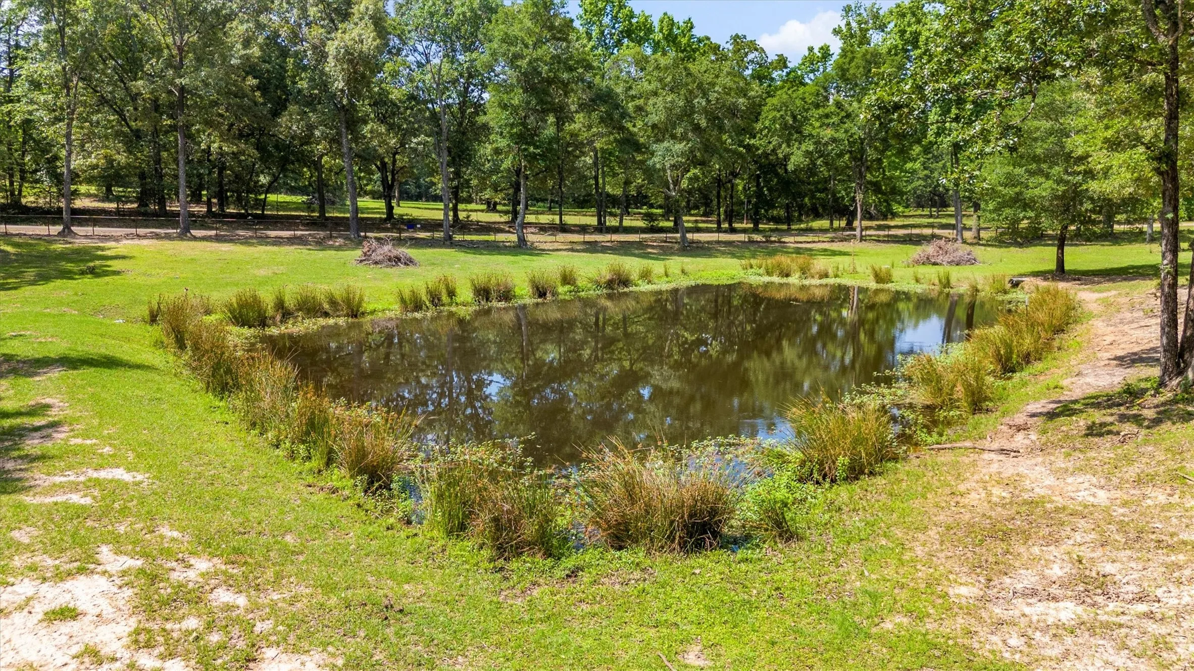 Ranch For Sale in Van Zandt County , 000 VZ County Road 4505, Ben Wheeler, Texas 75754, 0, 0, Garage spaces, 0 Sqft, built in 0, mls#21270922, Real Estate Agent in Ben Wheeler, Homes For Sale in Van Zandt county, Homes For Sale in Ben Wheeler, Realtor in Ben Wheeler Texas, Real Estate Brokerage Independent Realty Texas, Luminita Cordes Realtor