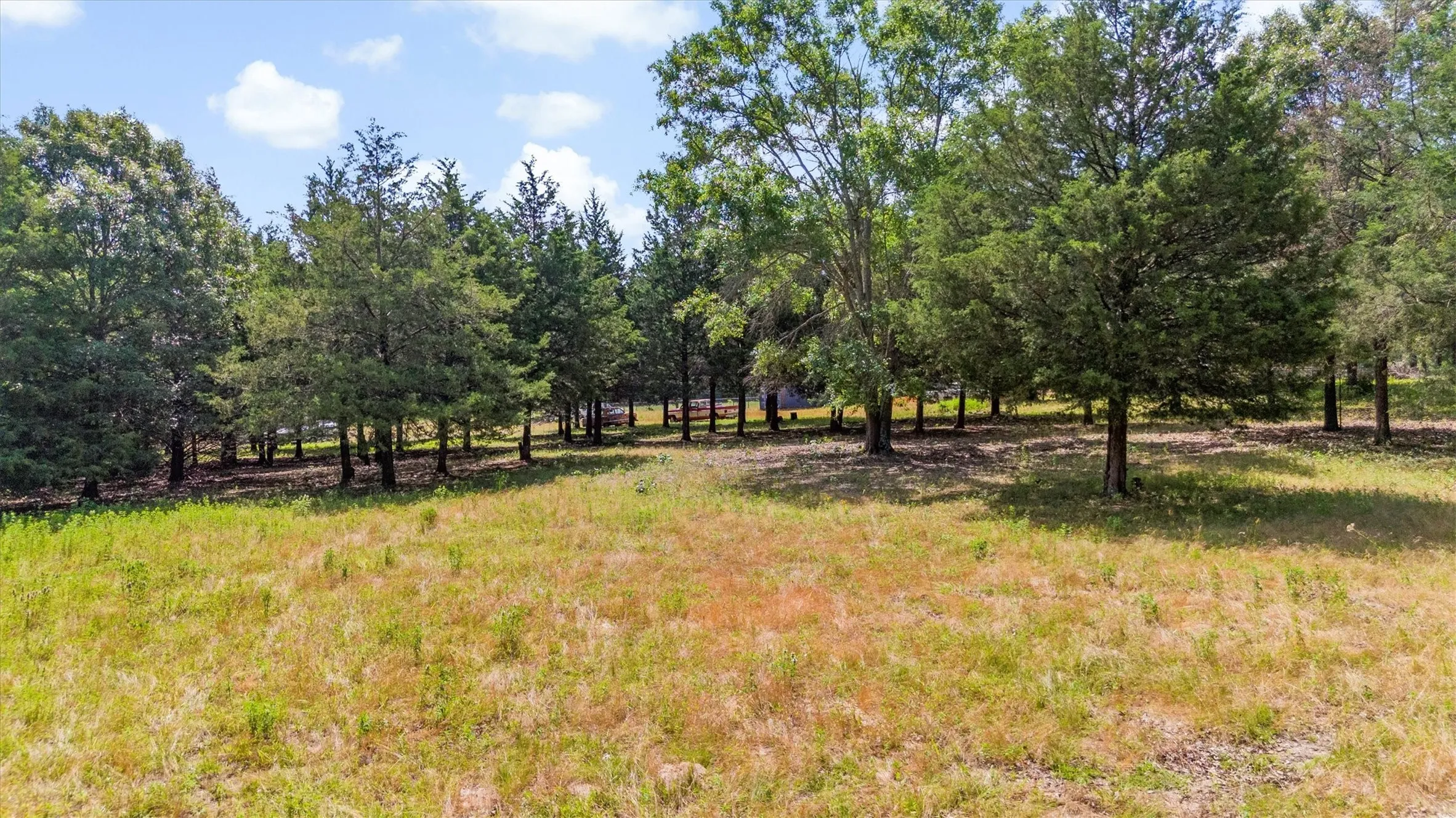 Ranch For Sale in Van Zandt County , 000 VZ County Road 4505, Ben Wheeler, Texas 75754, 0, 0, Garage spaces, 0 Sqft, built in 0, mls#21270922, Real Estate Agent in Ben Wheeler, Homes For Sale in Van Zandt county, Homes For Sale in Ben Wheeler, Realtor in Ben Wheeler Texas, Real Estate Brokerage Independent Realty Texas, Luminita Cordes Realtor