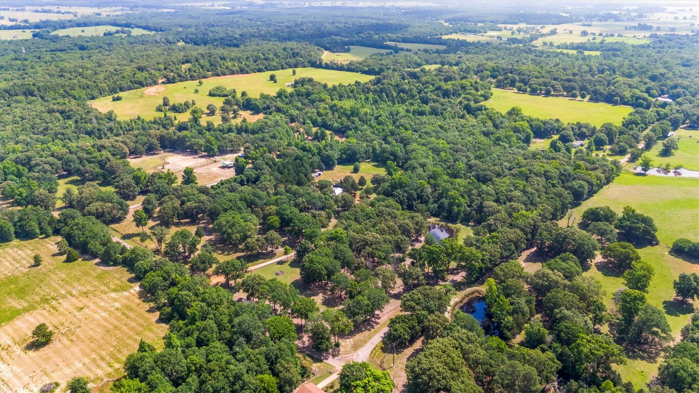 Ranch For Sale in Van Zandt County , 000 VZ County Road 4505, Ben Wheeler, Texas 75754, 0, 0, Garage spaces, 0 Sqft, built in 0, mls#21270922, Real Estate Agent in Ben Wheeler, Homes For Sale in Van Zandt county, Homes For Sale in Ben Wheeler, Realtor in Ben Wheeler Texas, Real Estate Brokerage Independent Realty Texas, Luminita Cordes Realtor