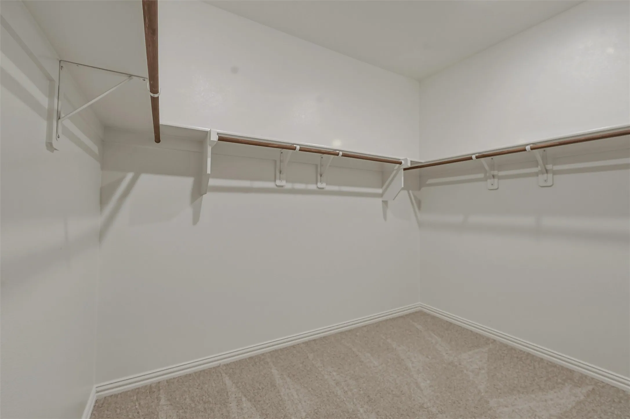 Walk-in closet featuring light beige carpet flooring, white painted walls, and built-in shelving with hanging rods