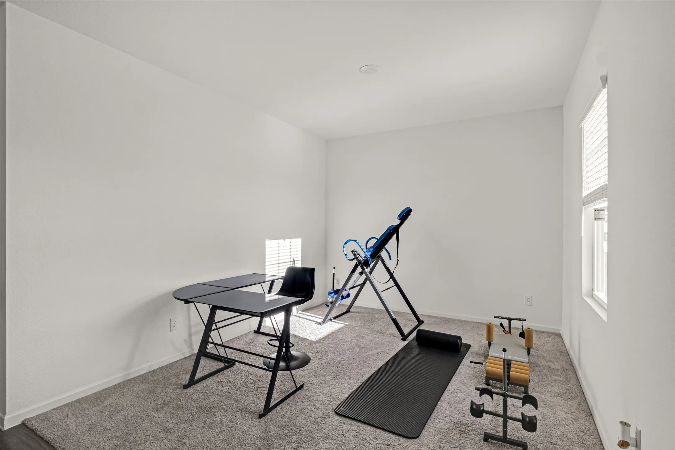 Spacious room featuring neutral paint, soft carpet flooring, and abundant natural light from a window with blinds