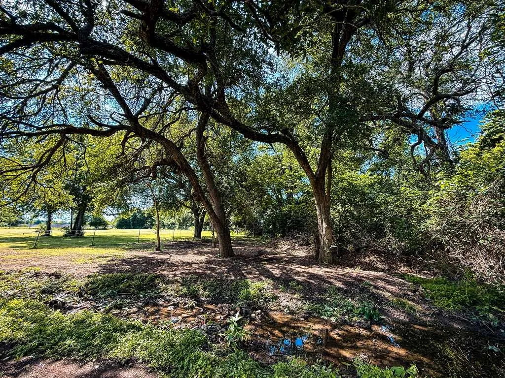 Single Family Residence For Sale in Bell County , 1708 S Wall Street, Belton, Texas 76513, 4 Bedroom, 2 Bathroom, 2 Garage spaces, 3,004 Sqft, built in 1918, Price $625,000, mls#21266824, Real Estate Agent in Belton, Homes For Sale in Bell county, Homes For Sale in Belton, Realtor in Belton Texas, Real Estate Brokerage Independent Realty Texas, Luminita Cordes Realtor
