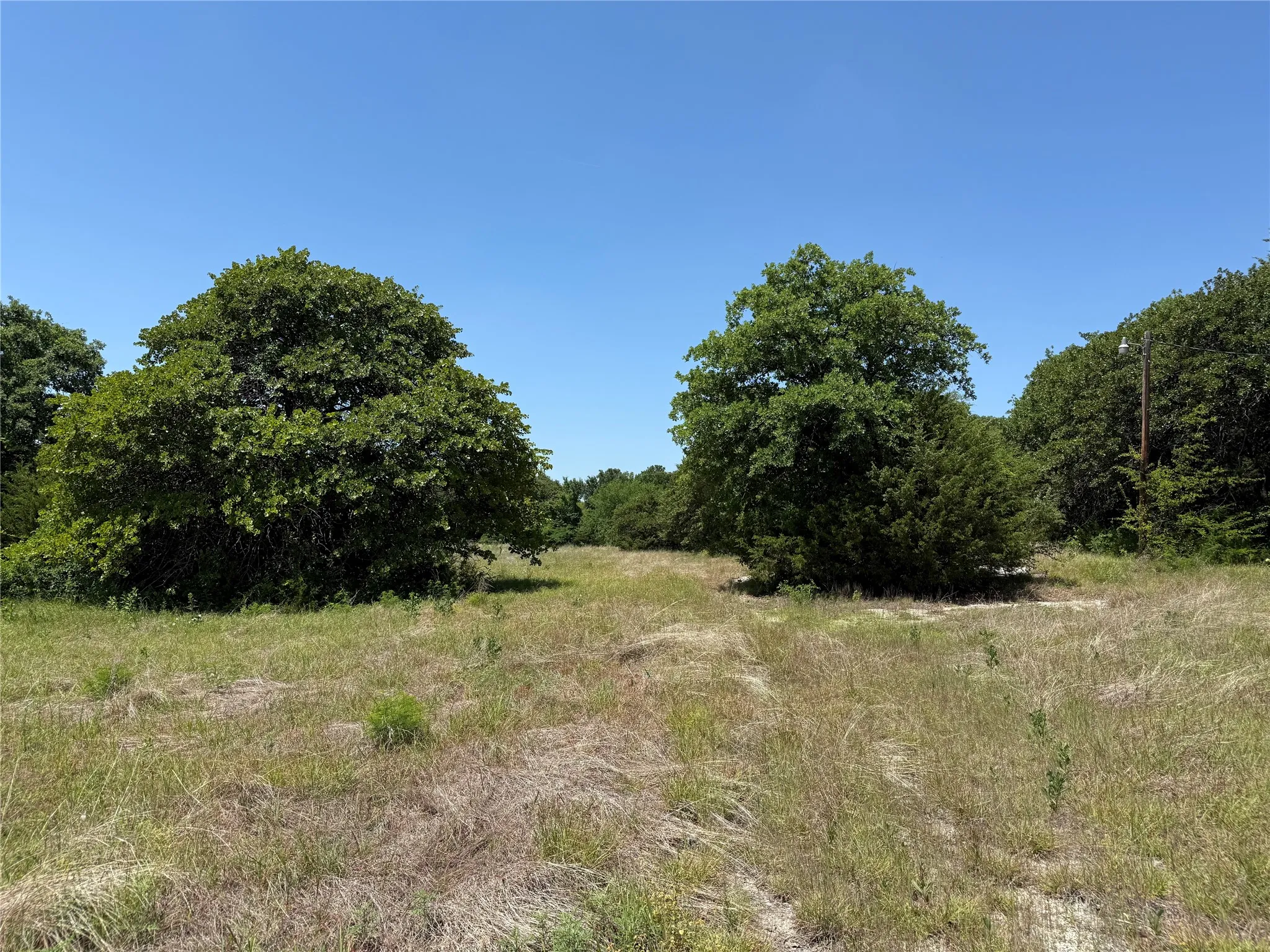 Open expanse of land featuring natural vegetation and mature trees