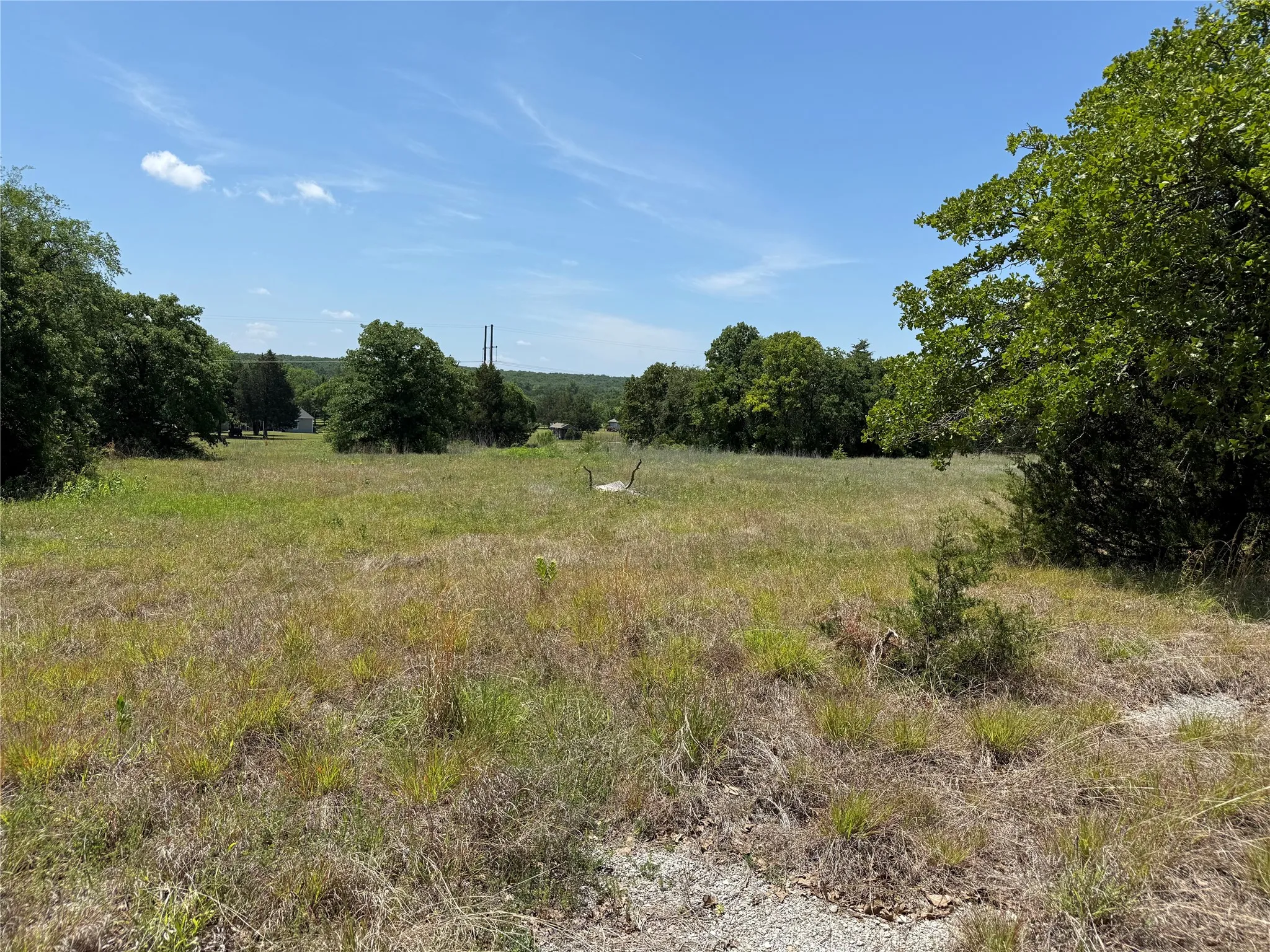 Expansive open field with natural vegetation and mature trees bordering the perimeter