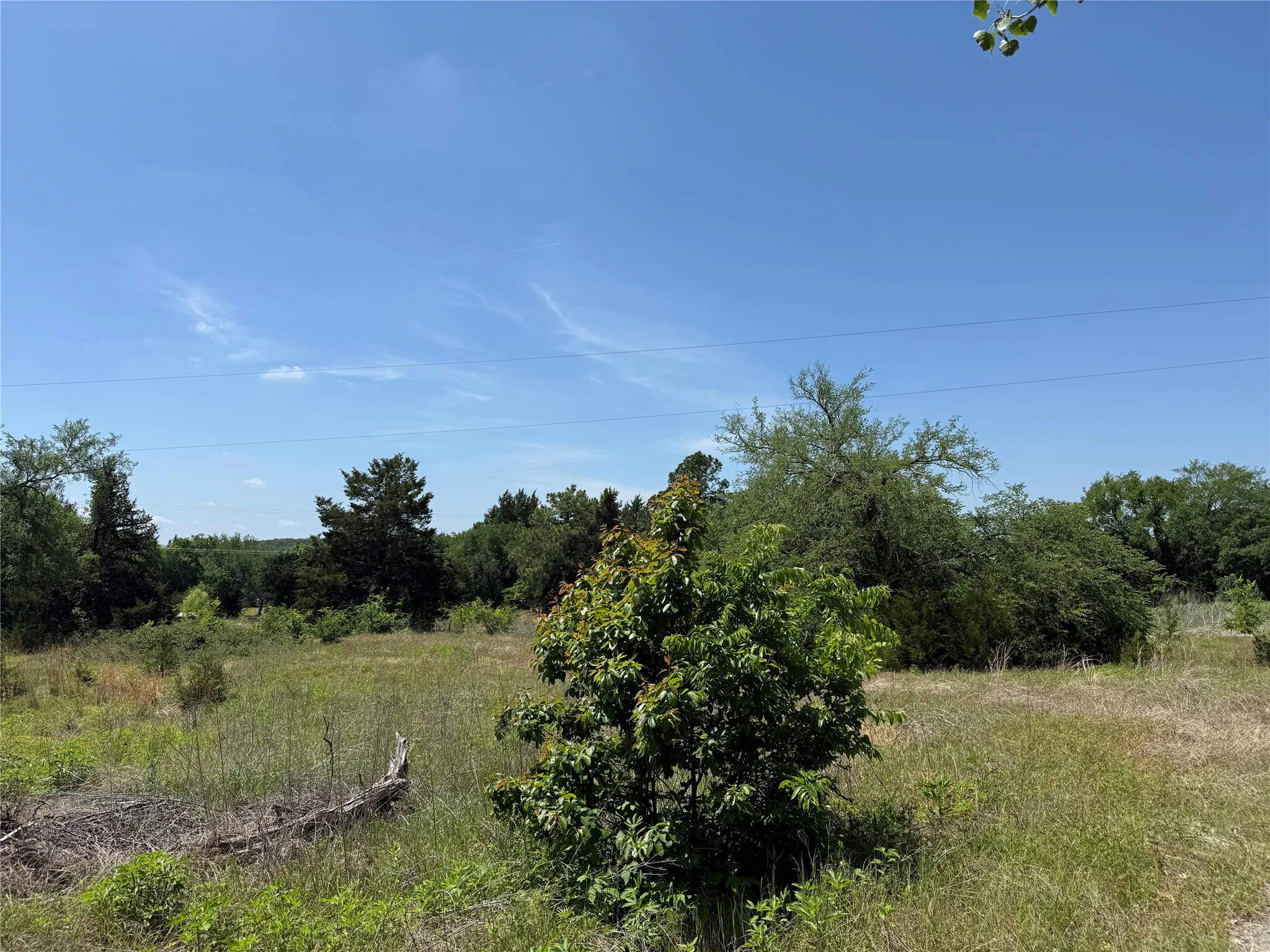 Expansive undeveloped land featuring mature trees and natural vegetation