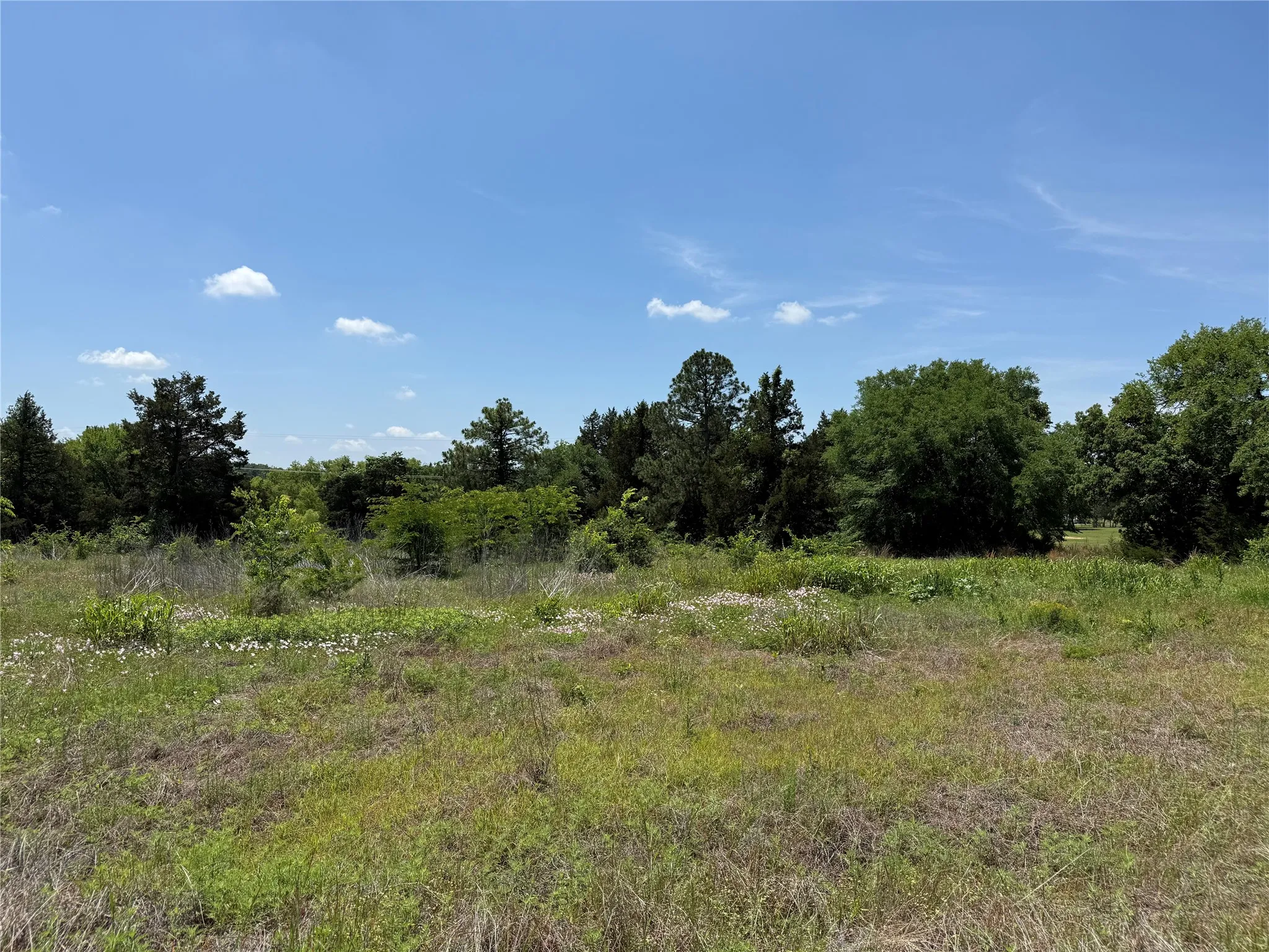 Expansive open land featuring diverse foliage and a clear sky backdrop
