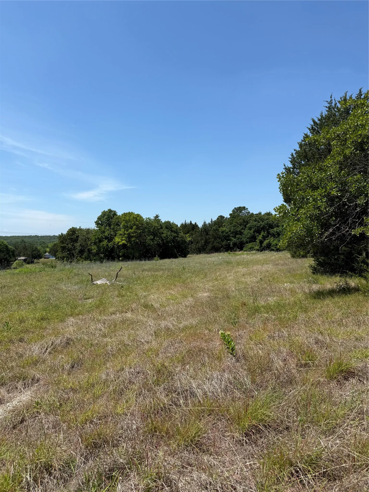 Expansive open land with varying grass textures, featuring a distant tree line and clear blue skies