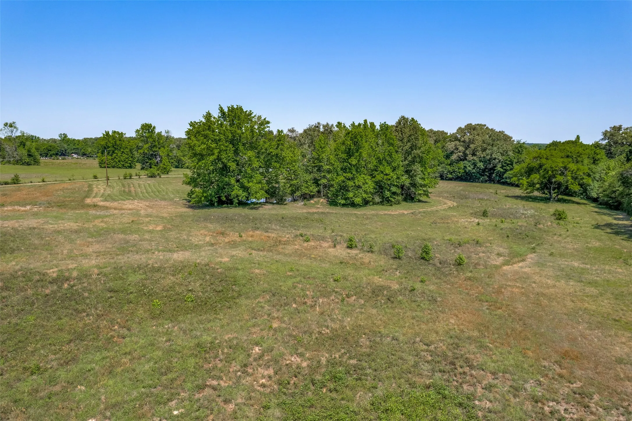 Expansive open field with scattered trees and natural ground cover