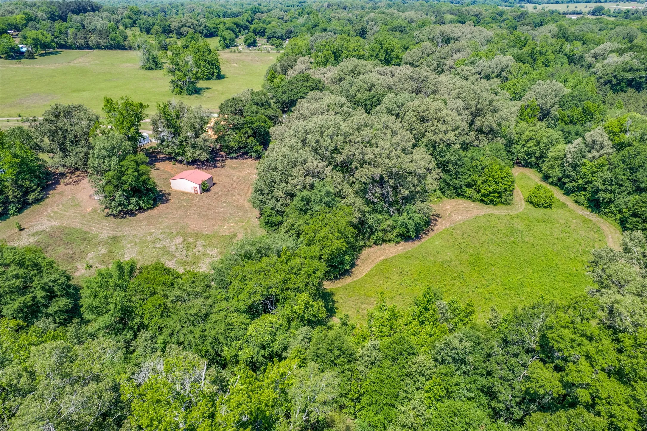Expansive verdant landscape featuring a red-roofed outbuilding, diverse mature trees, and open grassy areas