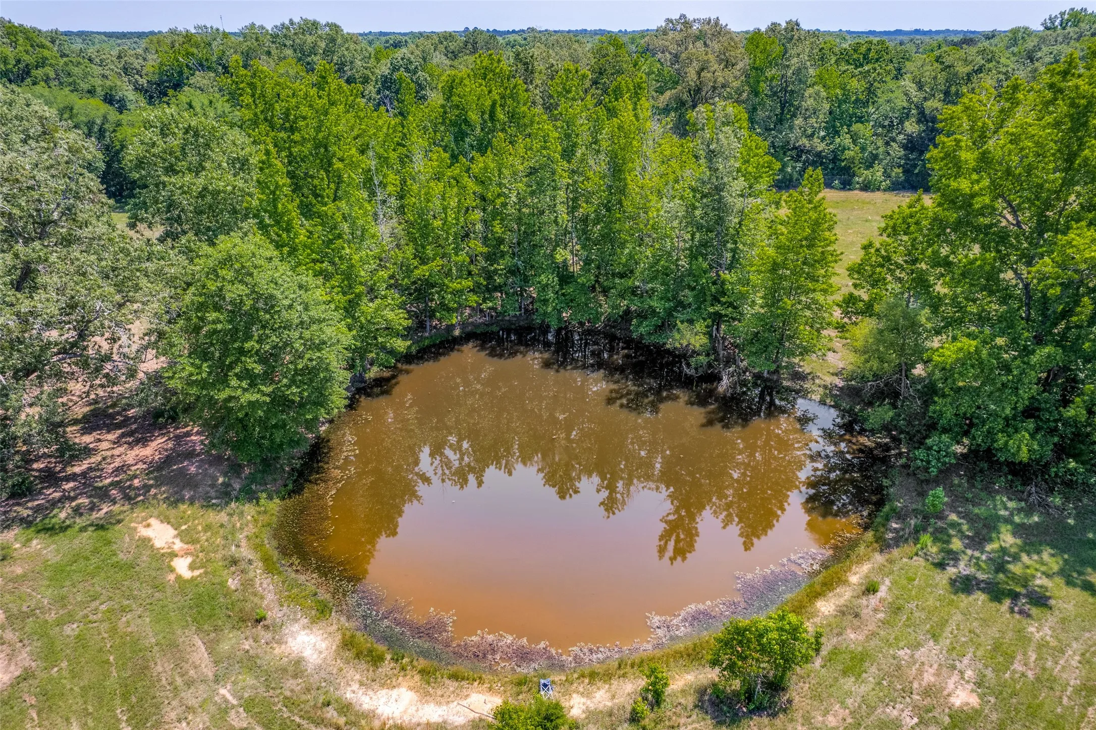 Natural pond feature surrounded by lush greenery and expansive grassy areas