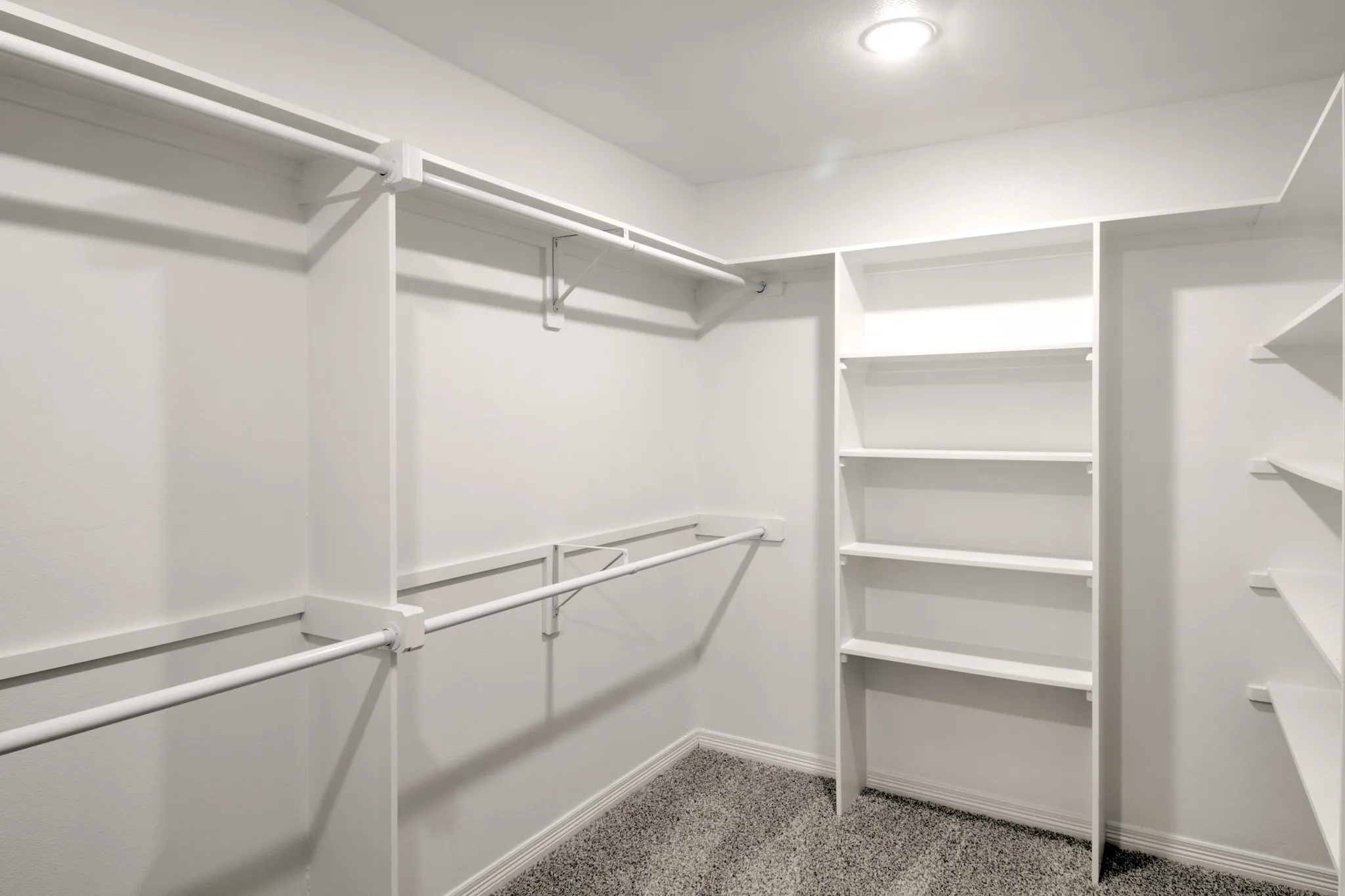 One of Two Spacious walk in closets, with shelving.