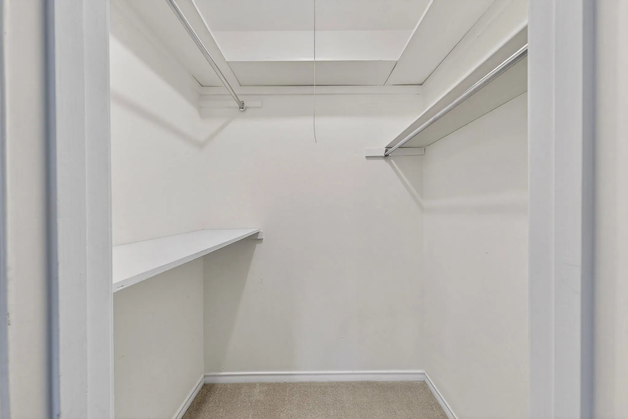 Walk-in closet featuring white interior walls, built-in shelving, hanging rods, and carpet flooring