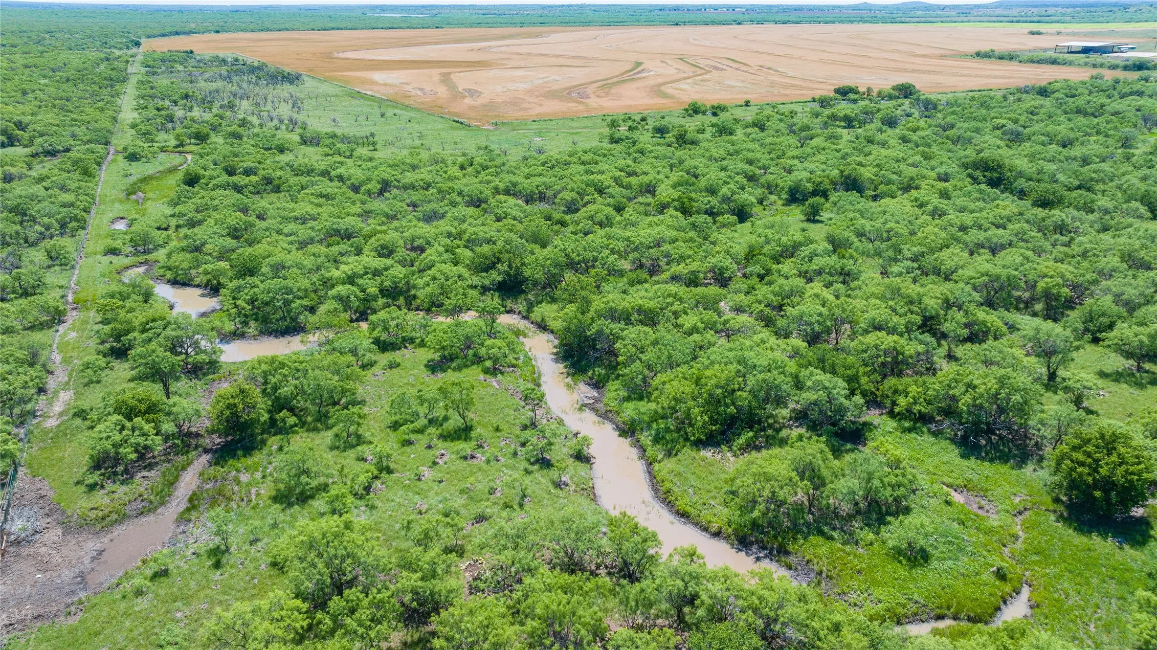 Buffalo Creek