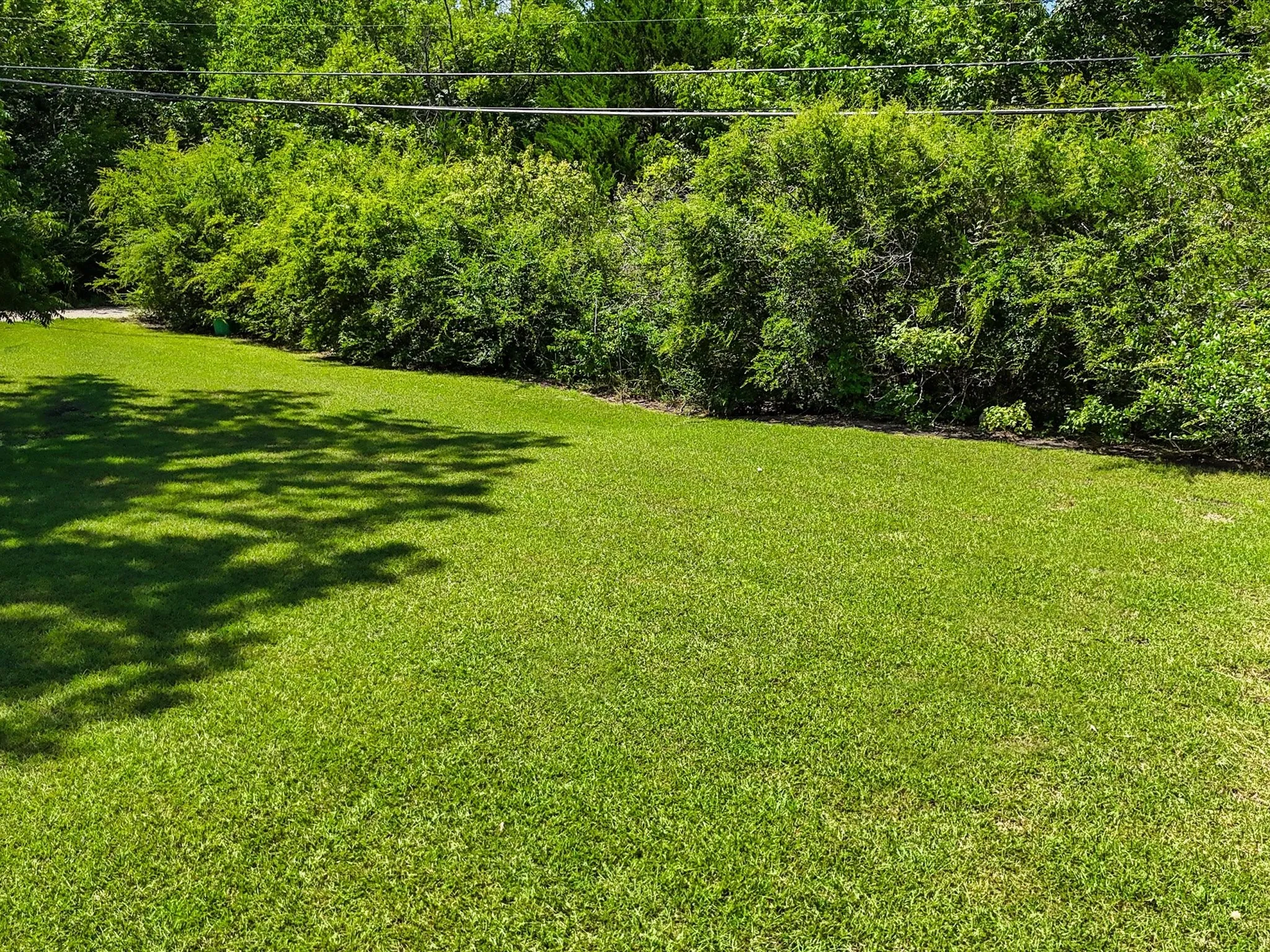 Expansive lawn area bordered by dense, mature foliage providing natural screening
