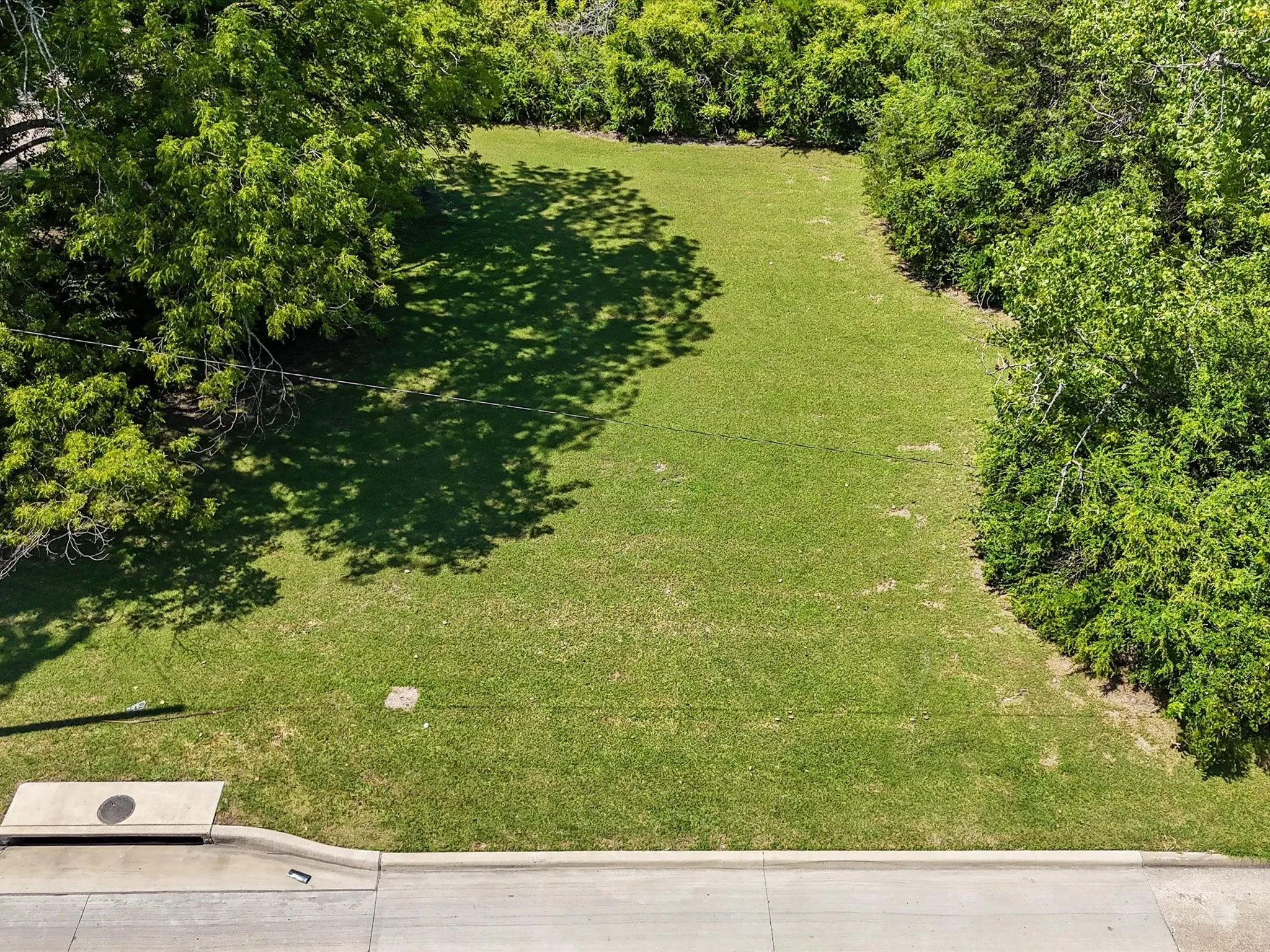 Expansive green lawn offering a substantial buildable area, bordered by mature trees and lush foliage