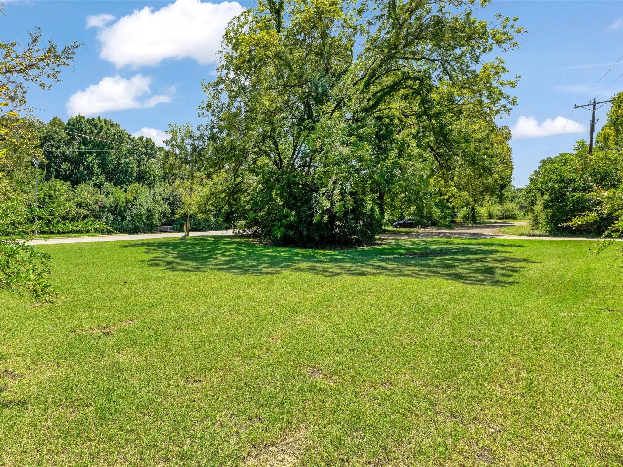 Expansive green lawn with mature trees and natural landscaping