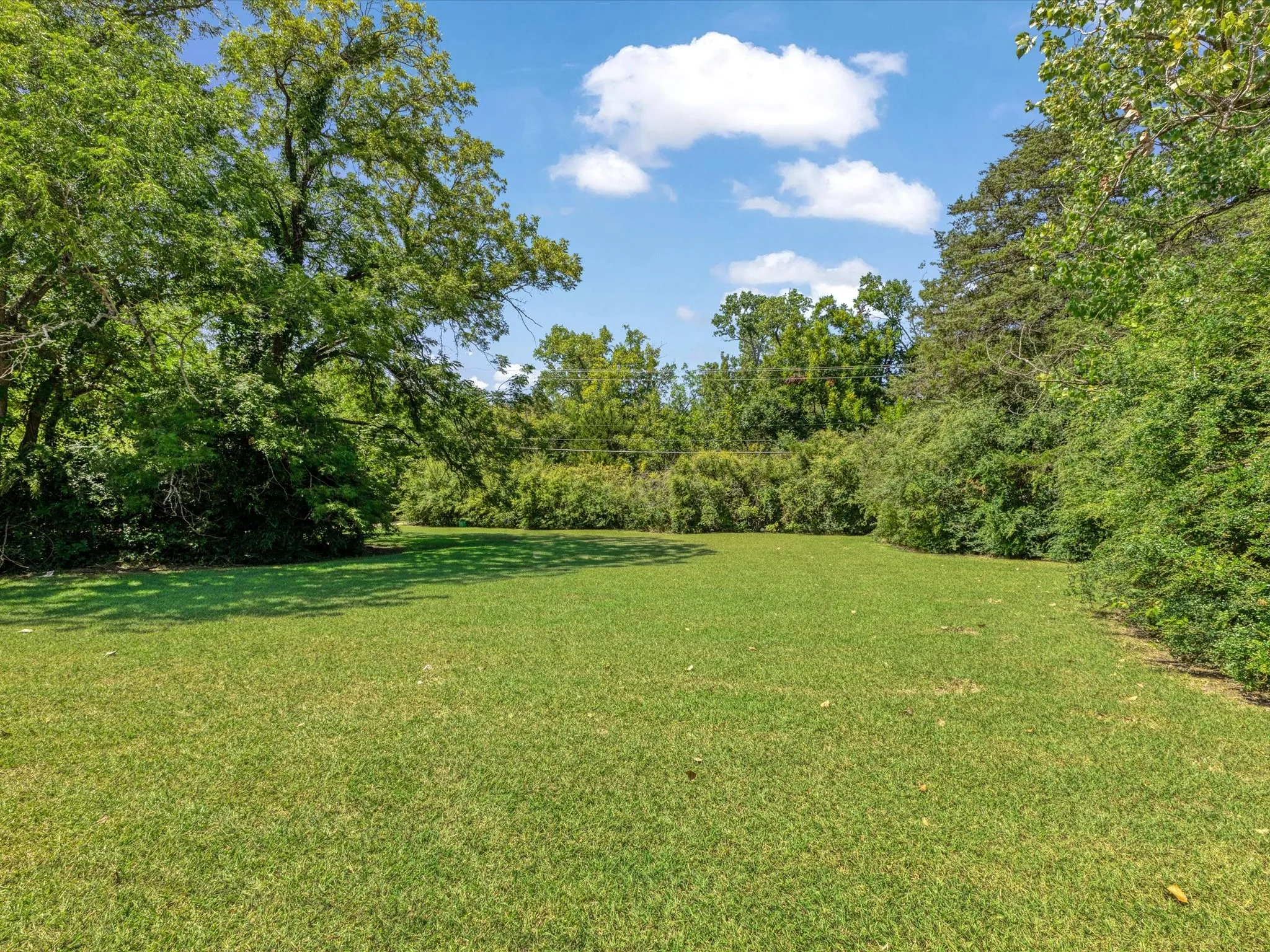 Expansive grassy area bordered by mature trees and varied foliage