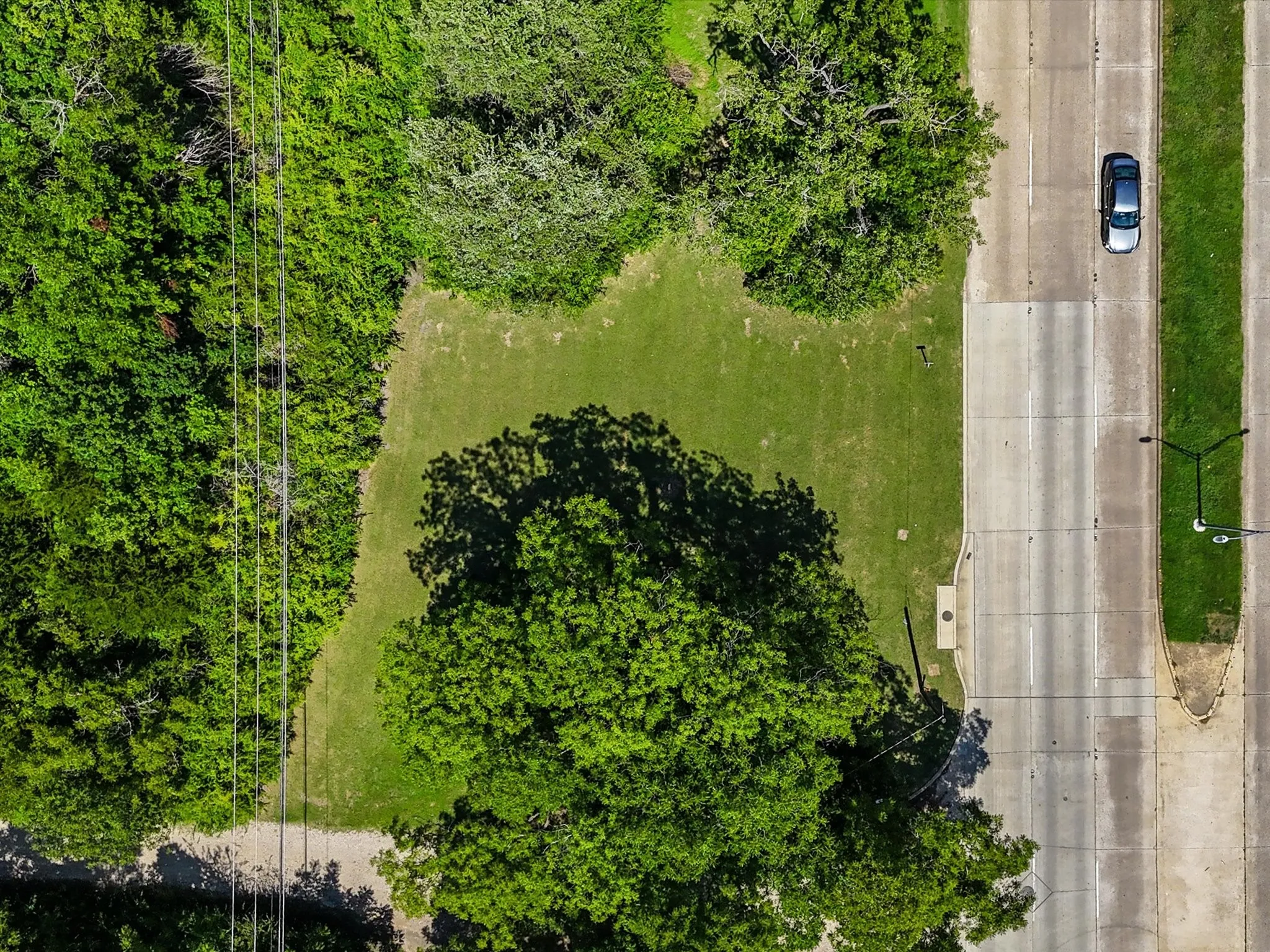 Expansive grass lot with mature trees and paved road frontage