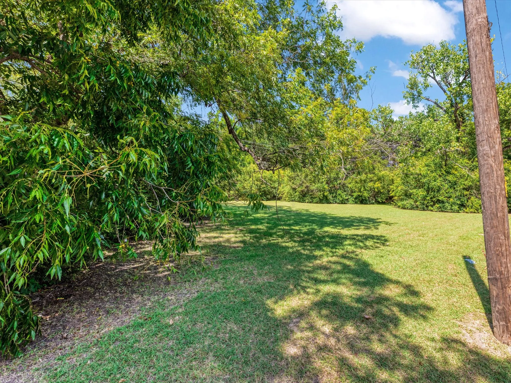 Expansive grassy area surrounded by mature trees, offering a natural setting