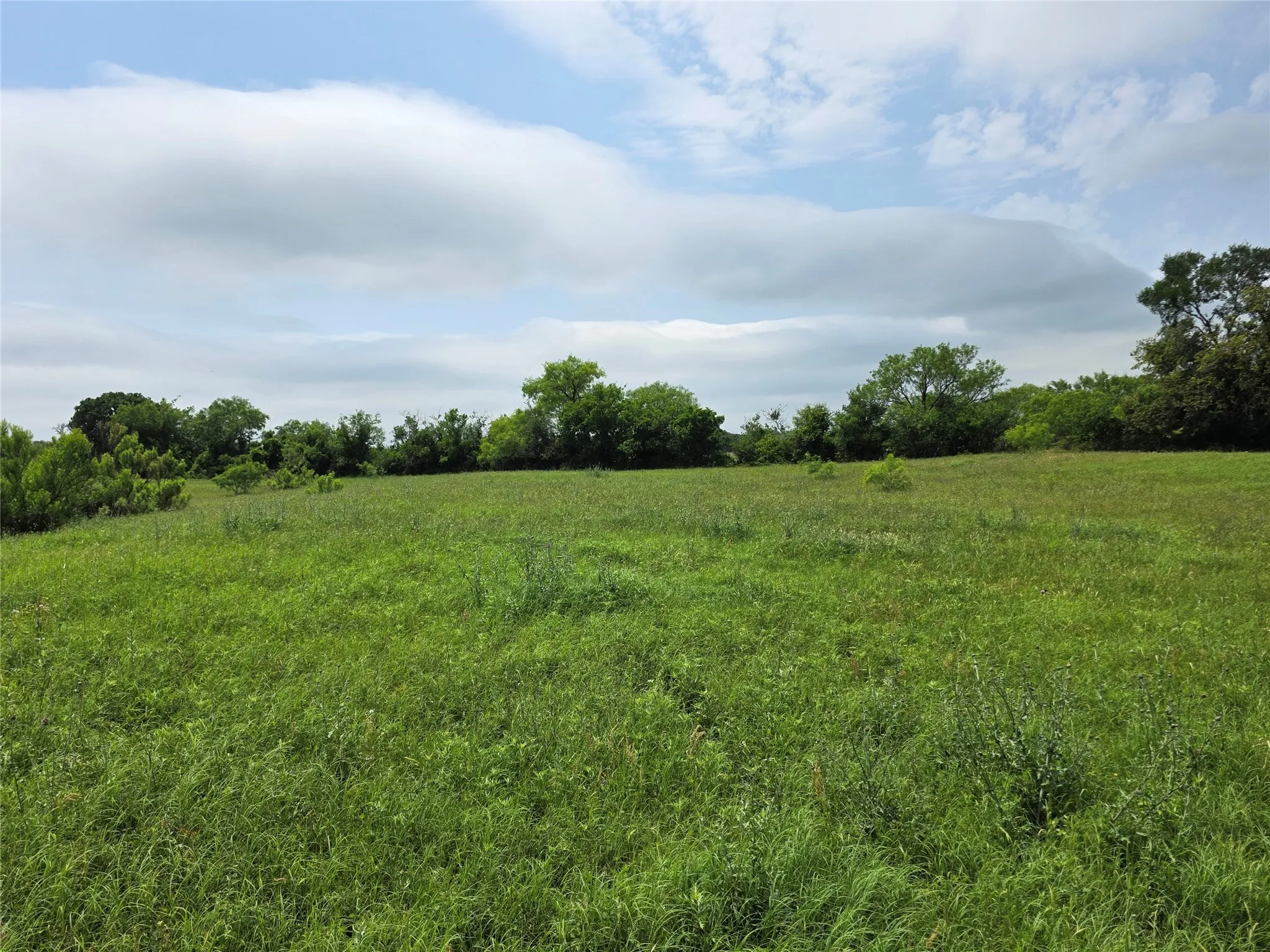 Ranch For Sale in Comanche County , 601 County Road 136, Comanche, Texas 76442, 0, 0, Garage spaces, 0 Sqft, built in 0, Price $624,875, mls#21271127, Real Estate Agent in Comanche, Homes For Sale in Comanche county, Homes For Sale in Comanche, Realtor in Comanche Texas, Real Estate Brokerage Independent Realty Texas, Luminita Cordes Realtor