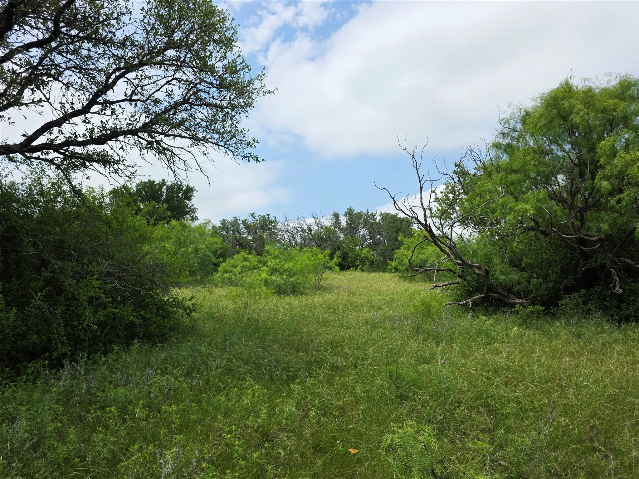 Ranch For Sale in Comanche County , 601 County Road 136, Comanche, Texas 76442, 0, 0, Garage spaces, 0 Sqft, built in 0, Price $624,875, mls#21271127, Real Estate Agent in Comanche, Homes For Sale in Comanche county, Homes For Sale in Comanche, Realtor in Comanche Texas, Real Estate Brokerage Independent Realty Texas, Luminita Cordes Realtor