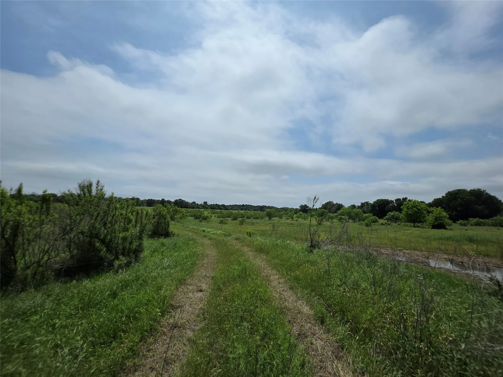 Ranch For Sale in Comanche County , 601 County Road 136, Comanche, Texas 76442, 0, 0, Garage spaces, 0 Sqft, built in 0, Price $624,875, mls#21271127, Real Estate Agent in Comanche, Homes For Sale in Comanche county, Homes For Sale in Comanche, Realtor in Comanche Texas, Real Estate Brokerage Independent Realty Texas, Luminita Cordes Realtor