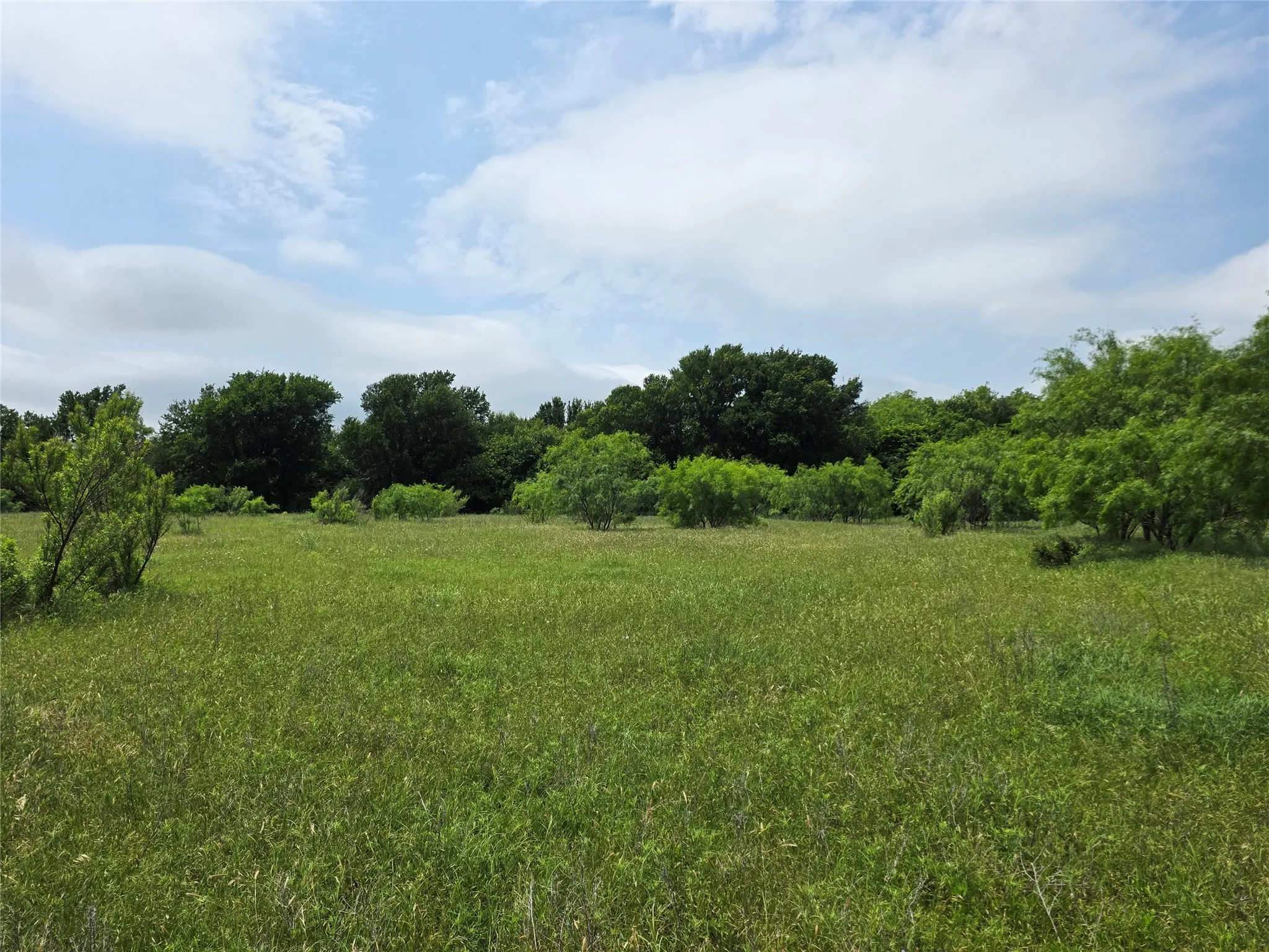 Ranch For Sale in Comanche County , 601 County Road 136, Comanche, Texas 76442, 0, 0, Garage spaces, 0 Sqft, built in 0, Price $624,875, mls#21271127, Real Estate Agent in Comanche, Homes For Sale in Comanche county, Homes For Sale in Comanche, Realtor in Comanche Texas, Real Estate Brokerage Independent Realty Texas, Luminita Cordes Realtor
