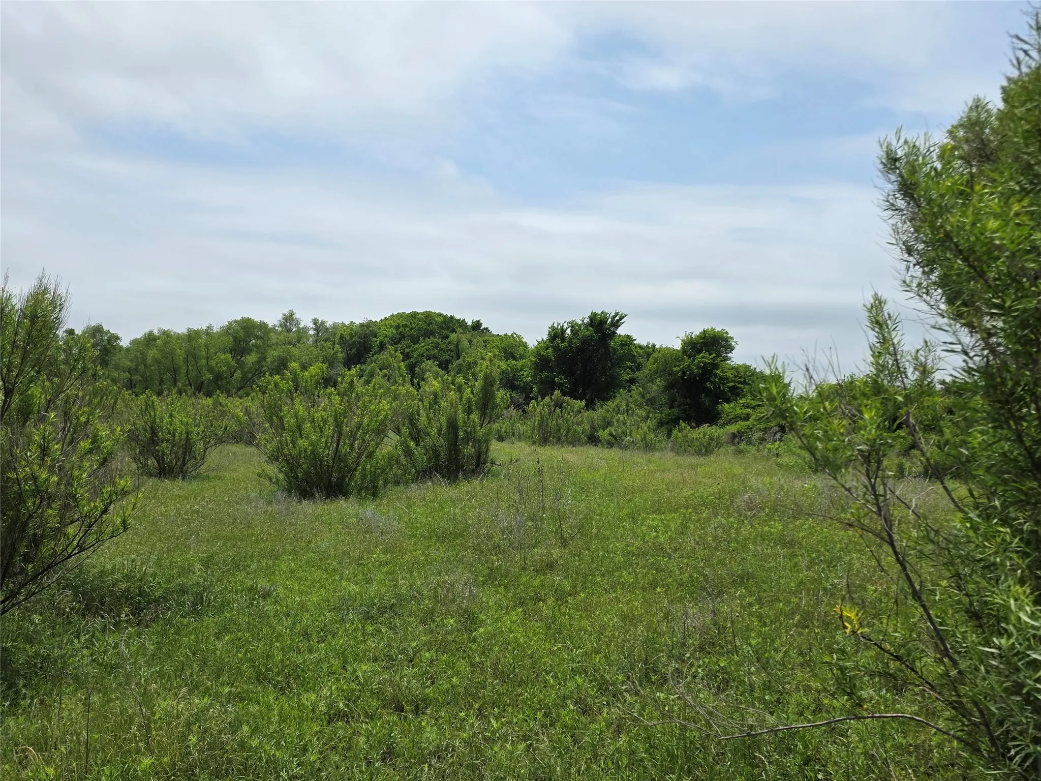 Ranch For Sale in Comanche County , 601 County Road 136, Comanche, Texas 76442, 0, 0, Garage spaces, 0 Sqft, built in 0, Price $624,875, mls#21271127, Real Estate Agent in Comanche, Homes For Sale in Comanche county, Homes For Sale in Comanche, Realtor in Comanche Texas, Real Estate Brokerage Independent Realty Texas, Luminita Cordes Realtor