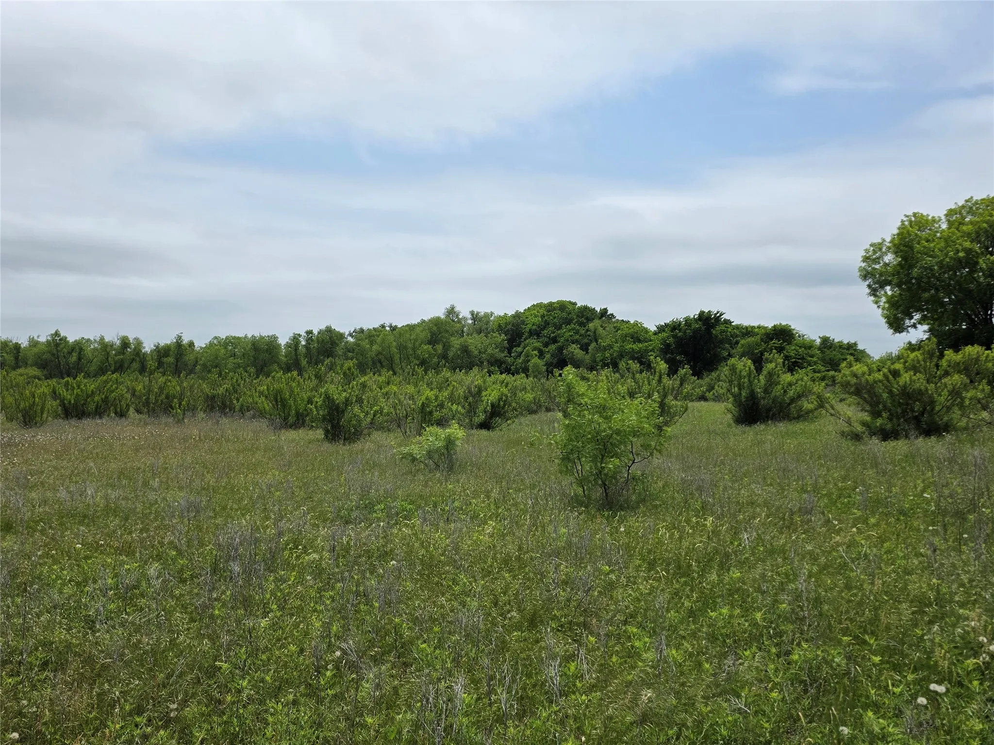 Ranch For Sale in Comanche County , 601 County Road 136, Comanche, Texas 76442, 0, 0, Garage spaces, 0 Sqft, built in 0, Price $624,875, mls#21271127, Real Estate Agent in Comanche, Homes For Sale in Comanche county, Homes For Sale in Comanche, Realtor in Comanche Texas, Real Estate Brokerage Independent Realty Texas, Luminita Cordes Realtor