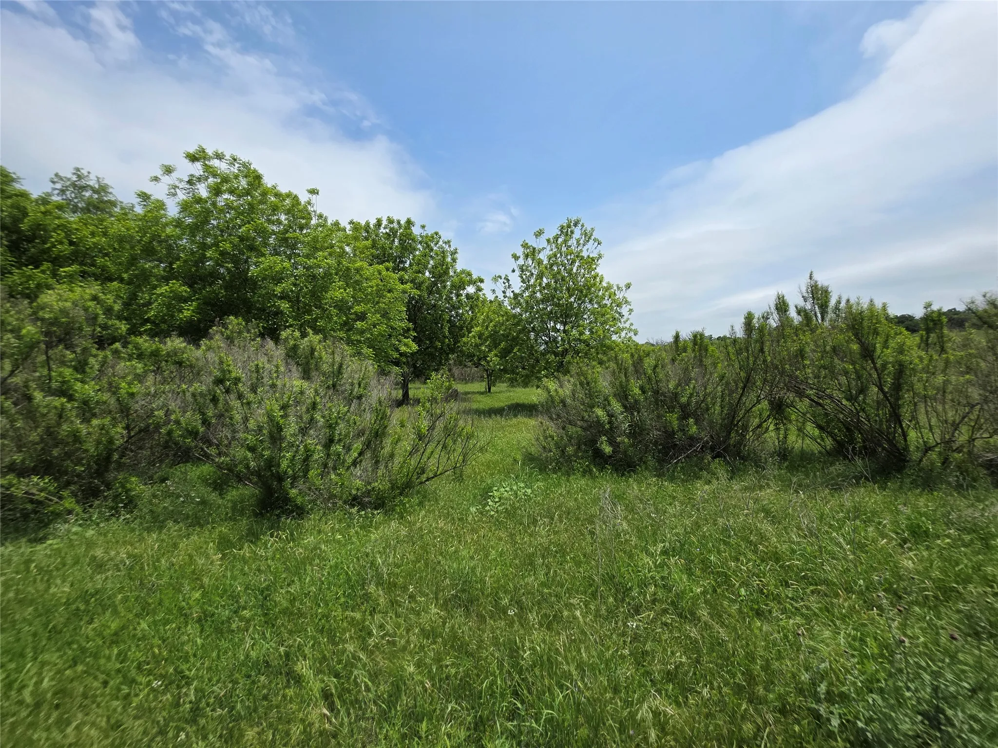 Ranch For Sale in Comanche County , 601 County Road 136, Comanche, Texas 76442, 0, 0, Garage spaces, 0 Sqft, built in 0, Price $624,875, mls#21271127, Real Estate Agent in Comanche, Homes For Sale in Comanche county, Homes For Sale in Comanche, Realtor in Comanche Texas, Real Estate Brokerage Independent Realty Texas, Luminita Cordes Realtor