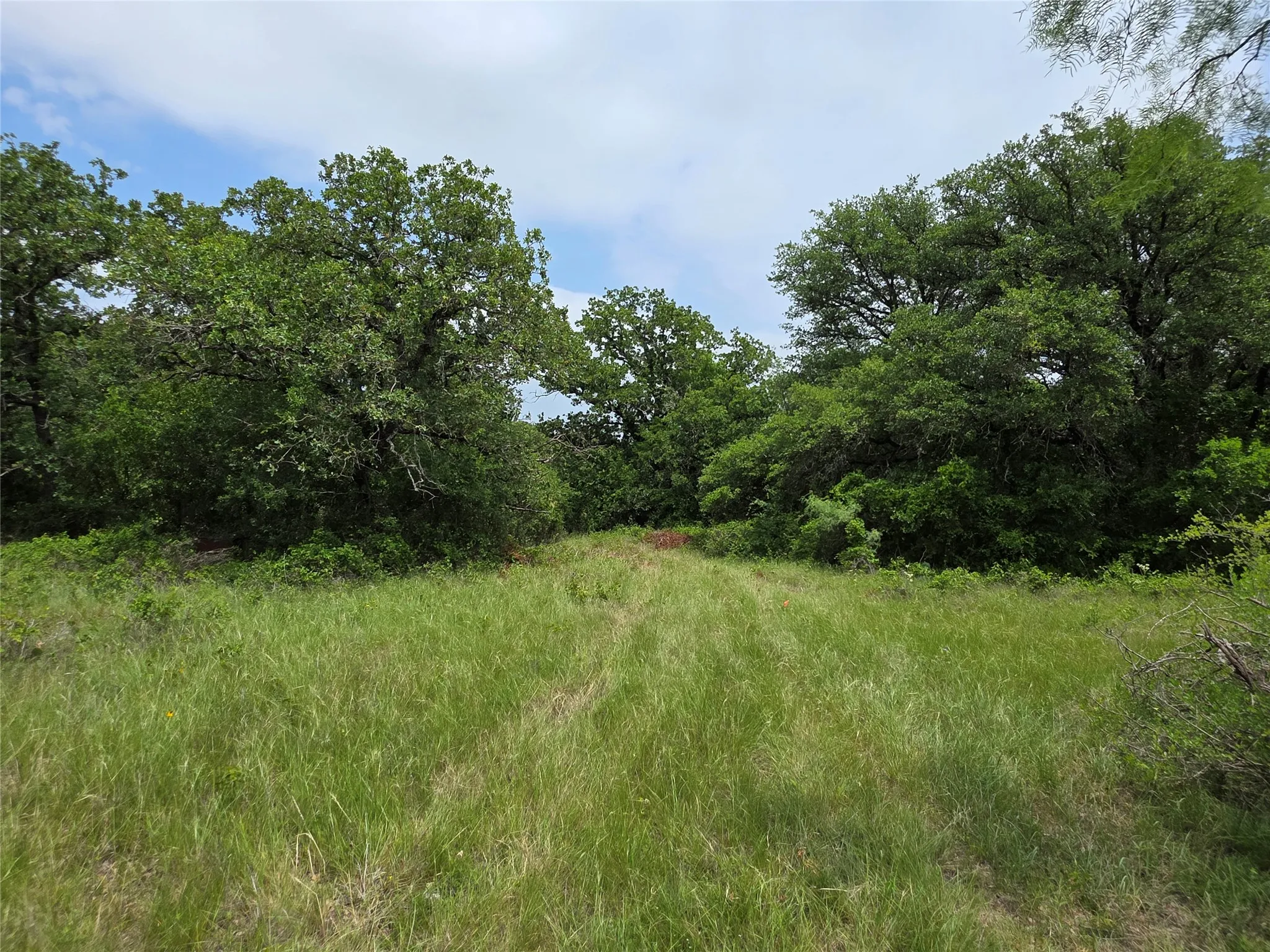 Ranch For Sale in Comanche County , 601 County Road 136, Comanche, Texas 76442, 0, 0, Garage spaces, 0 Sqft, built in 0, Price $624,875, mls#21271127, Real Estate Agent in Comanche, Homes For Sale in Comanche county, Homes For Sale in Comanche, Realtor in Comanche Texas, Real Estate Brokerage Independent Realty Texas, Luminita Cordes Realtor